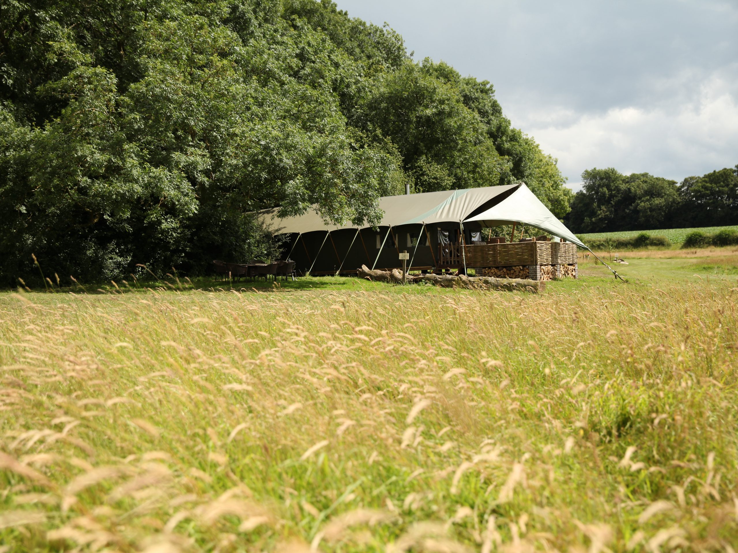 The Dandelion Hideaway