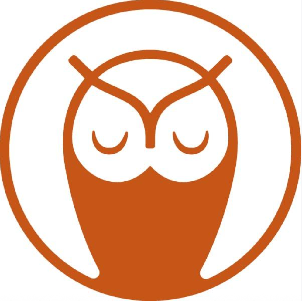 The Sleepy Owl Team
