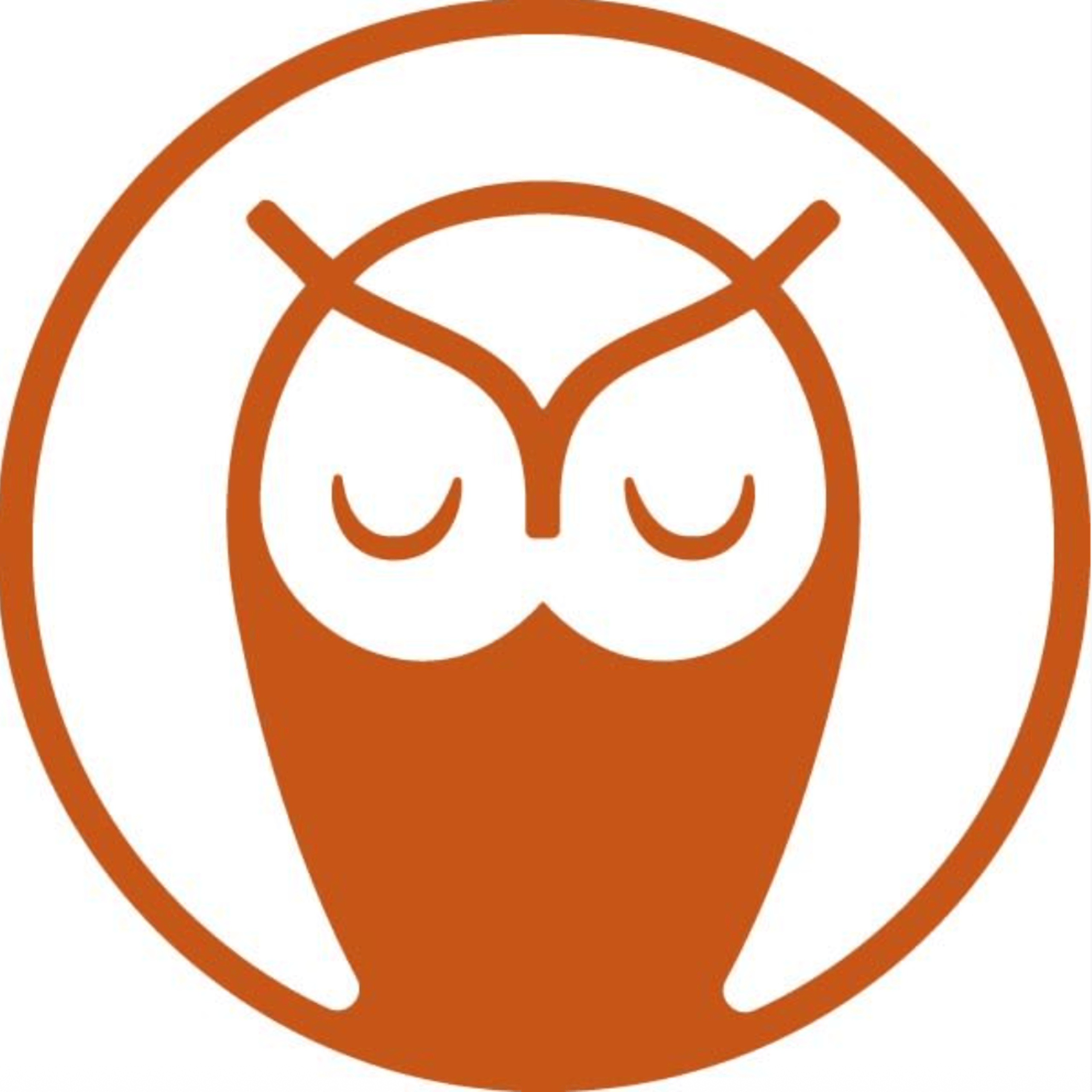 The Sleepy Owl Team