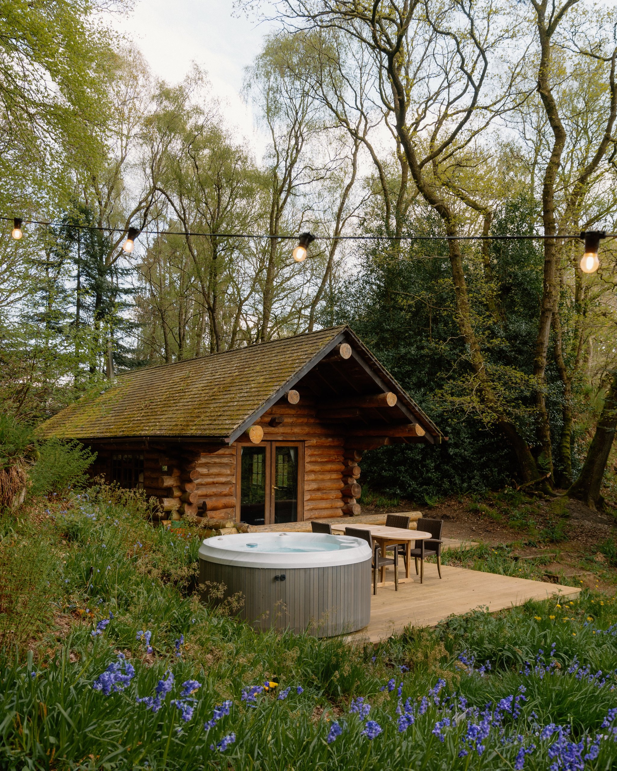 Shank Wood Lodge Cabin - Image 1