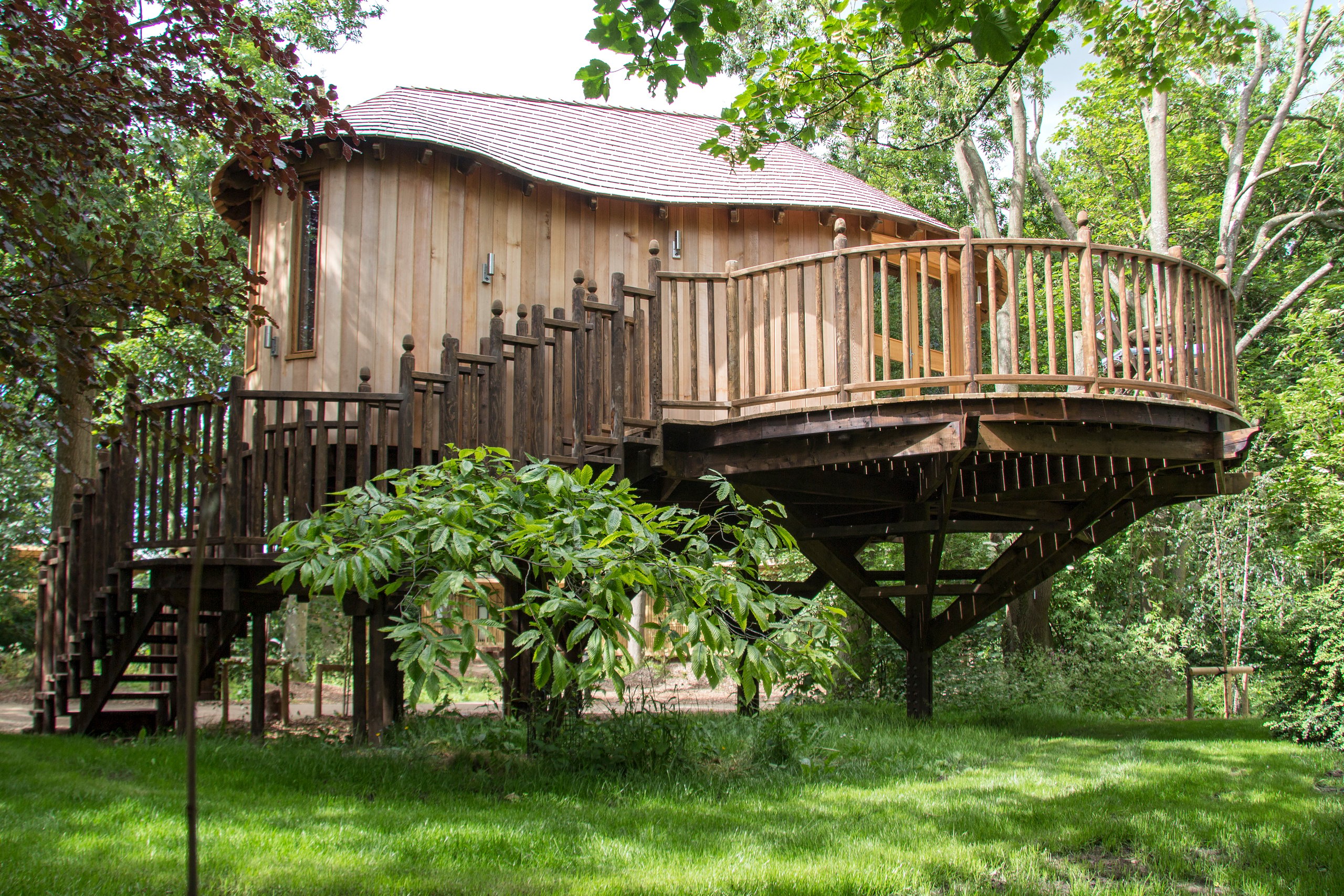 Treehouse at the Woodlands