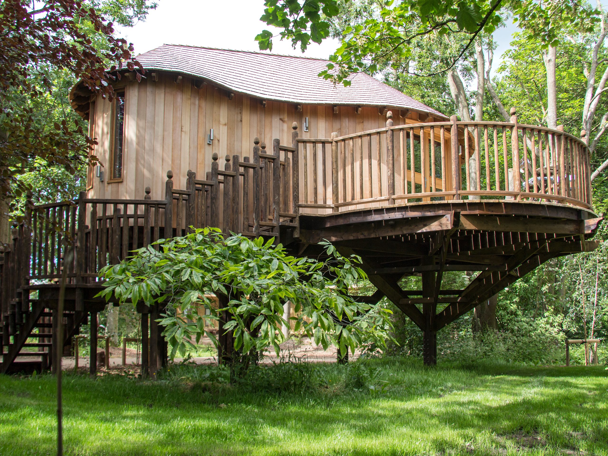 Treehouse at the Woodlands