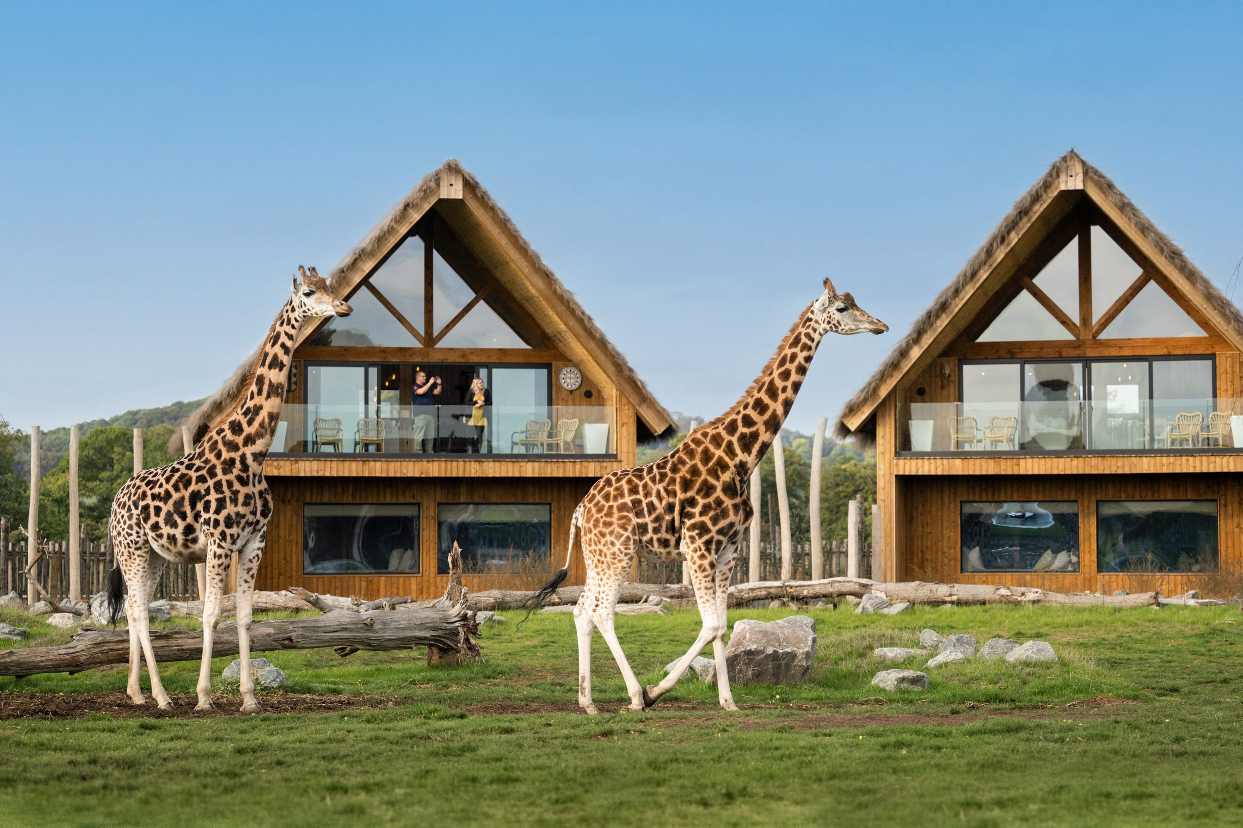 Safari Lodges - Image 1