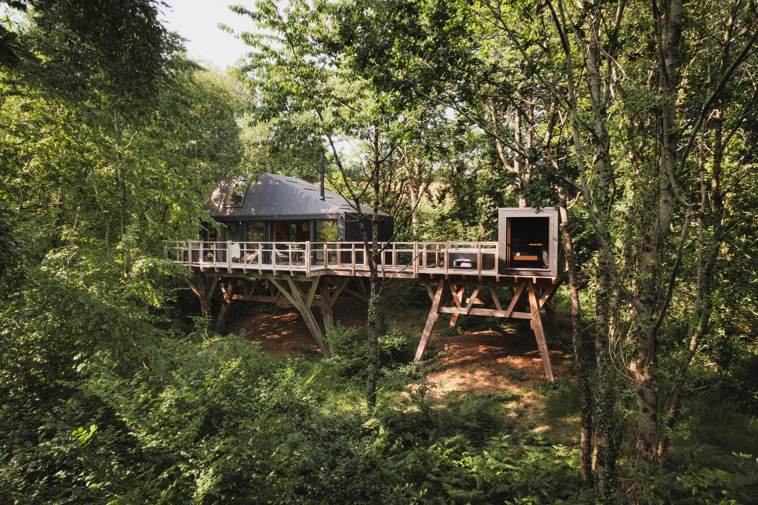 Starling Spa Treehouse