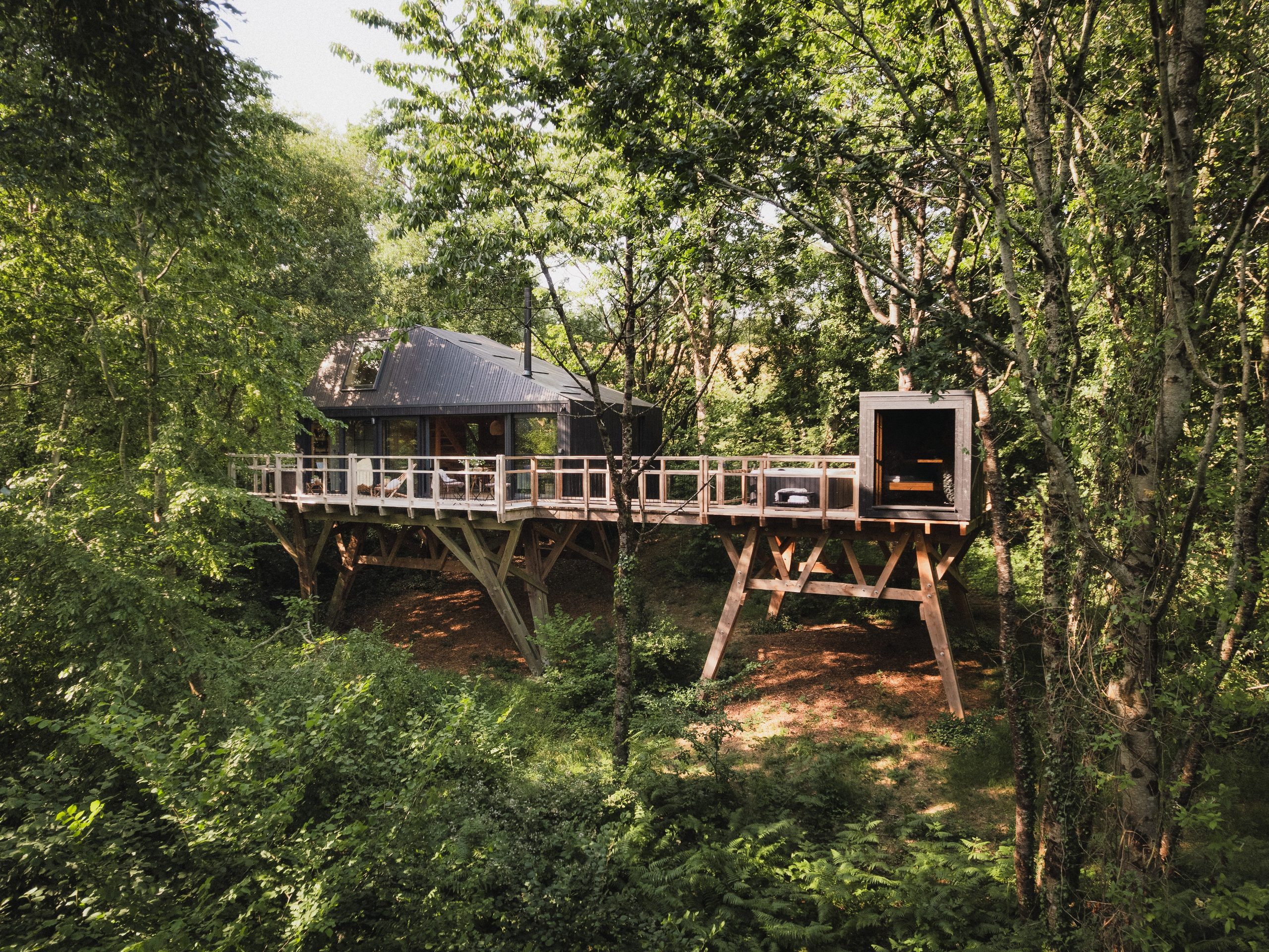 Starling Spa Treehouse