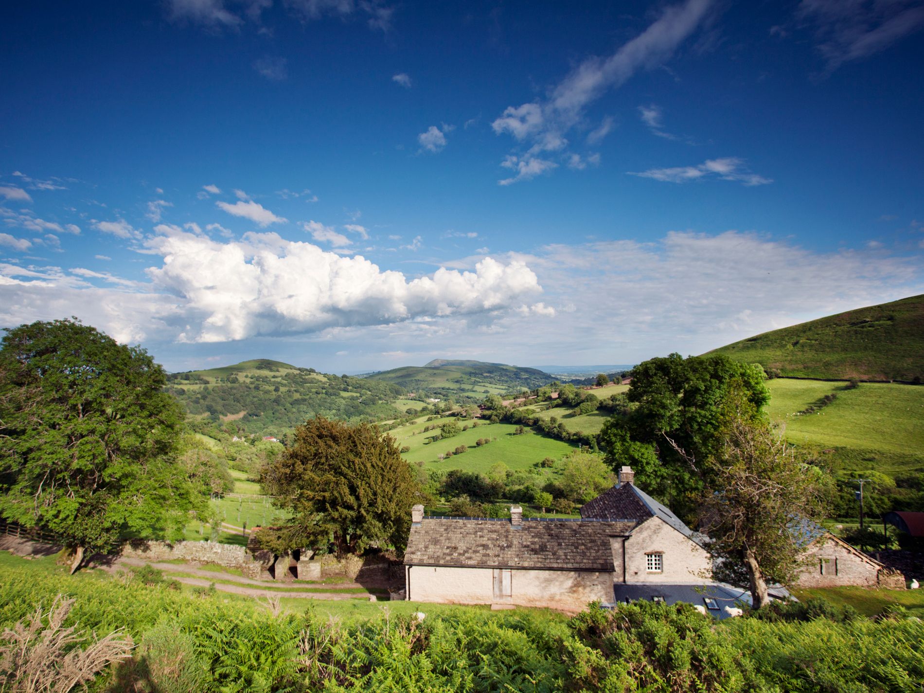 Abergavenny Farm