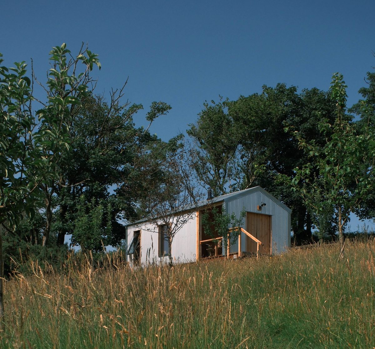 Orchard Cabin