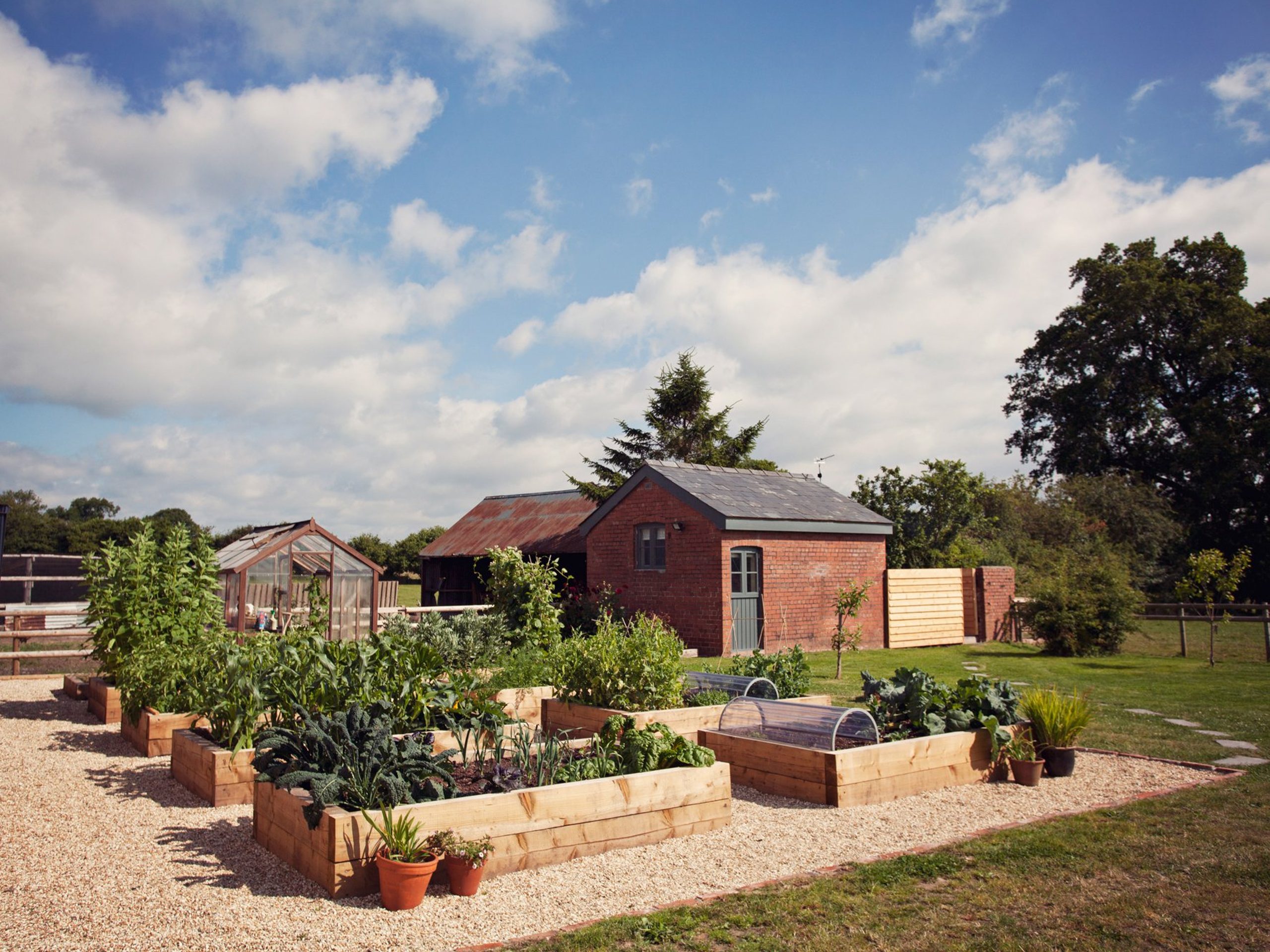 The Tiny B&B