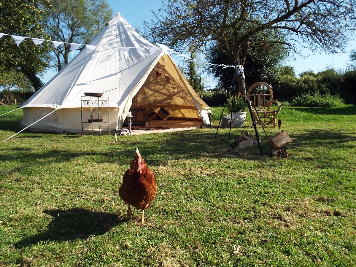 Belle the Bell Tent