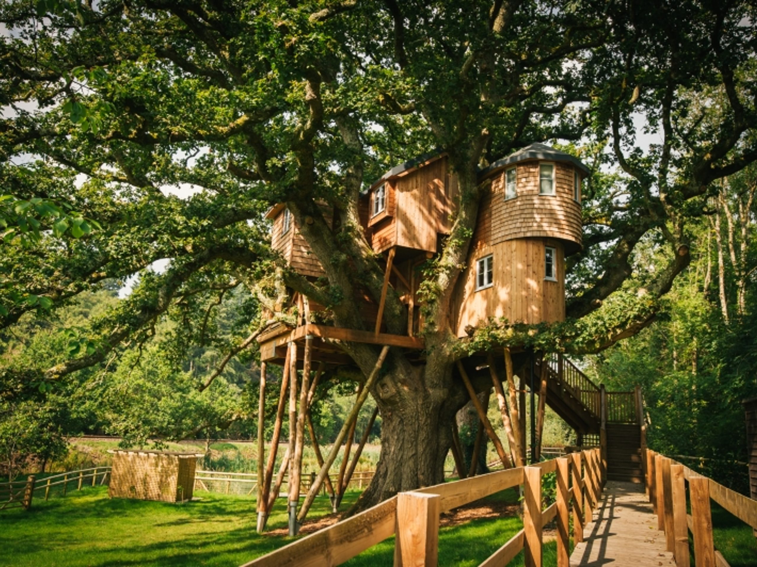 Treetops Treehouse