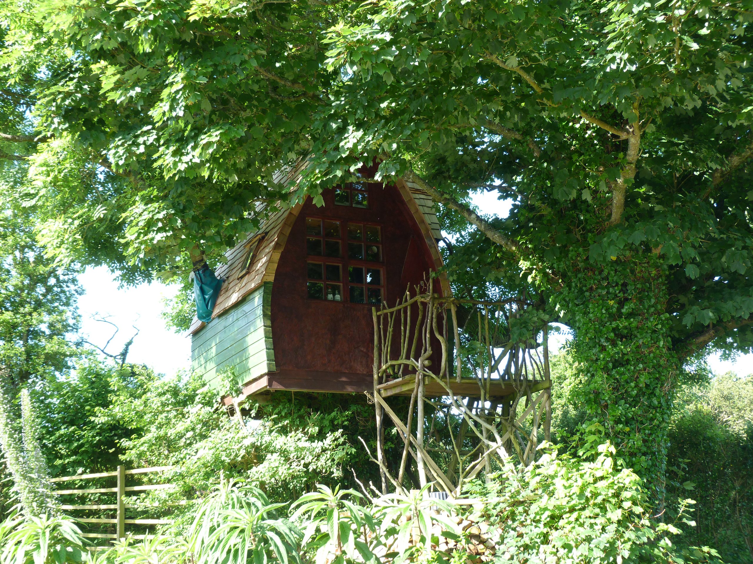 Tree Sparrow House