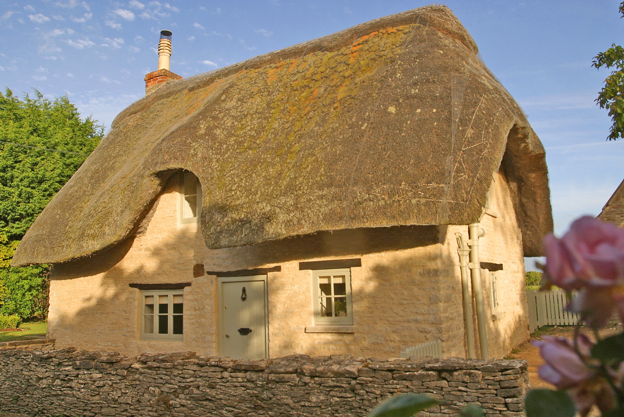 Asphodel Cottage