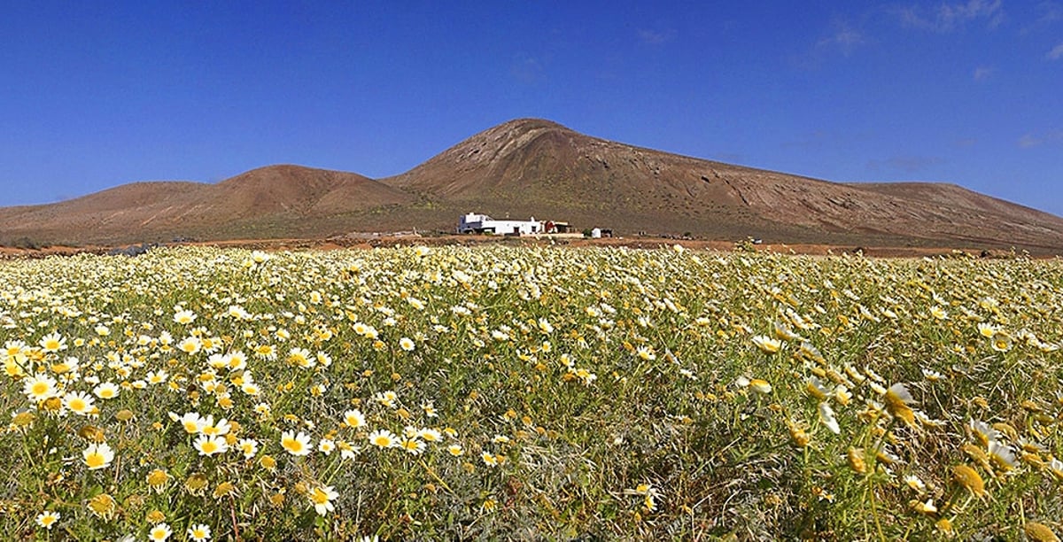 Cortijo de Cabreron