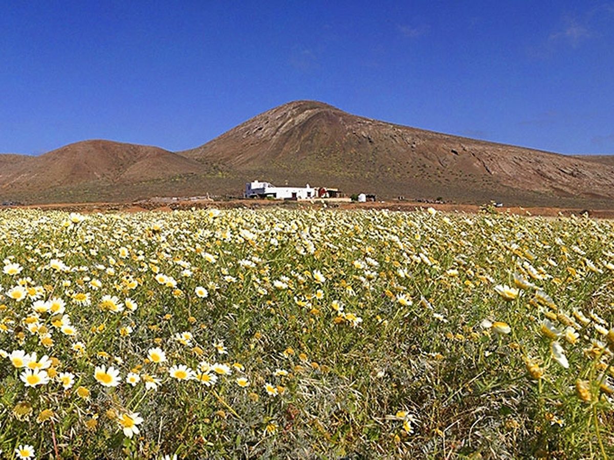 Cortijo de Cabreron