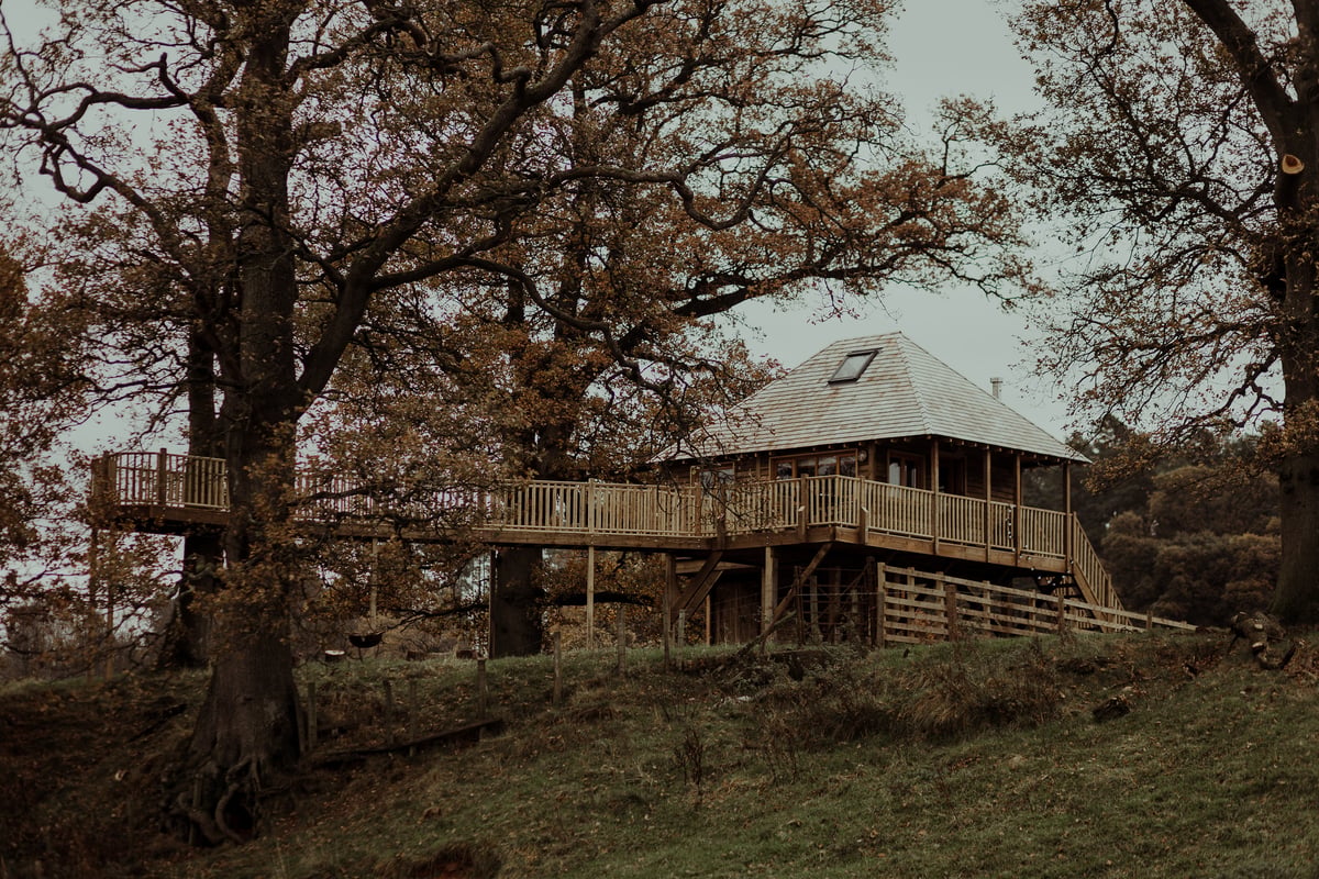 Netherby Treehouse