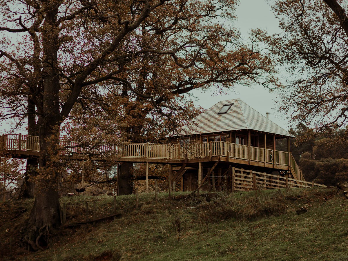 Netherby Treehouse