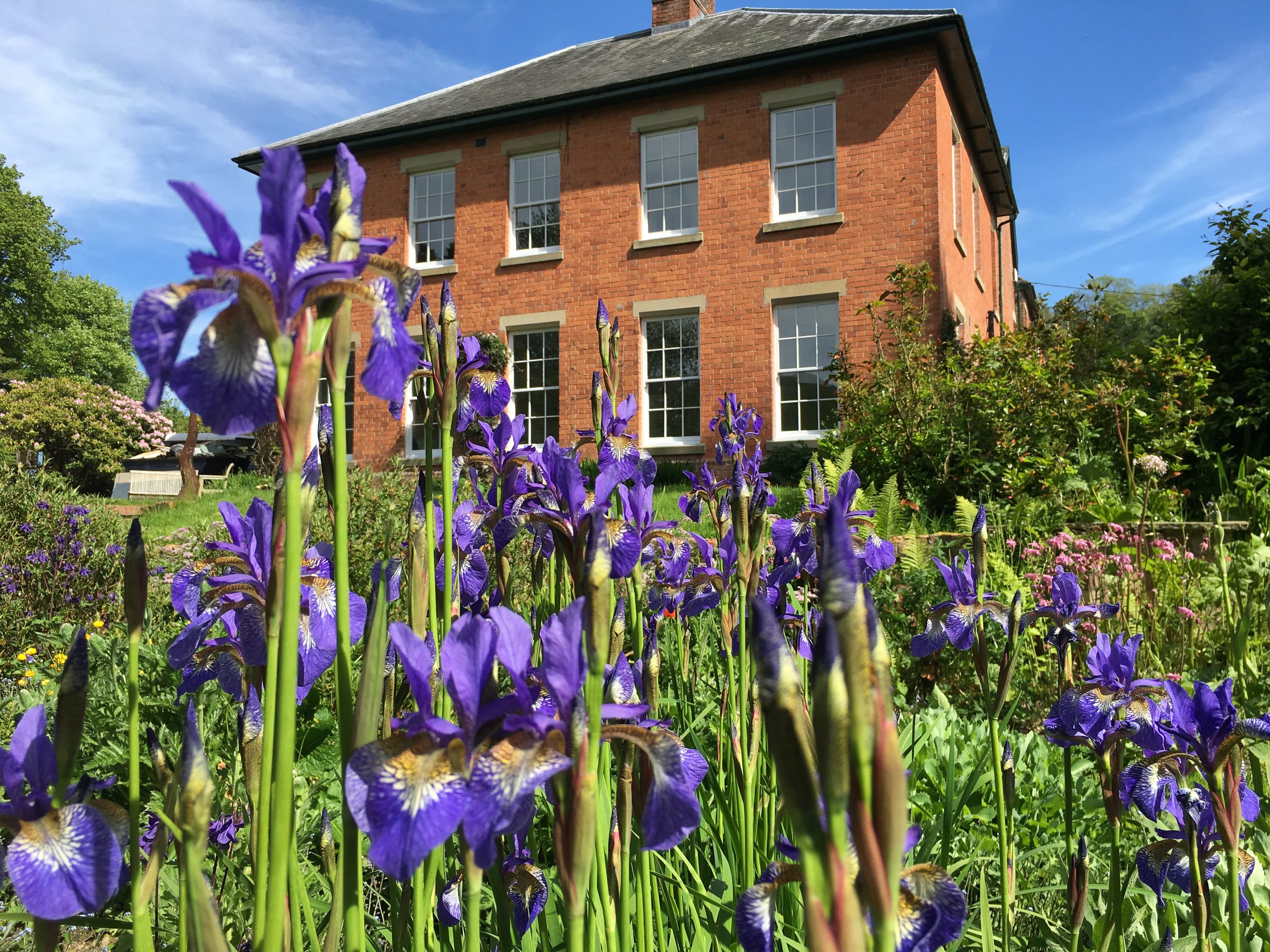 Eithinog Hall B&B