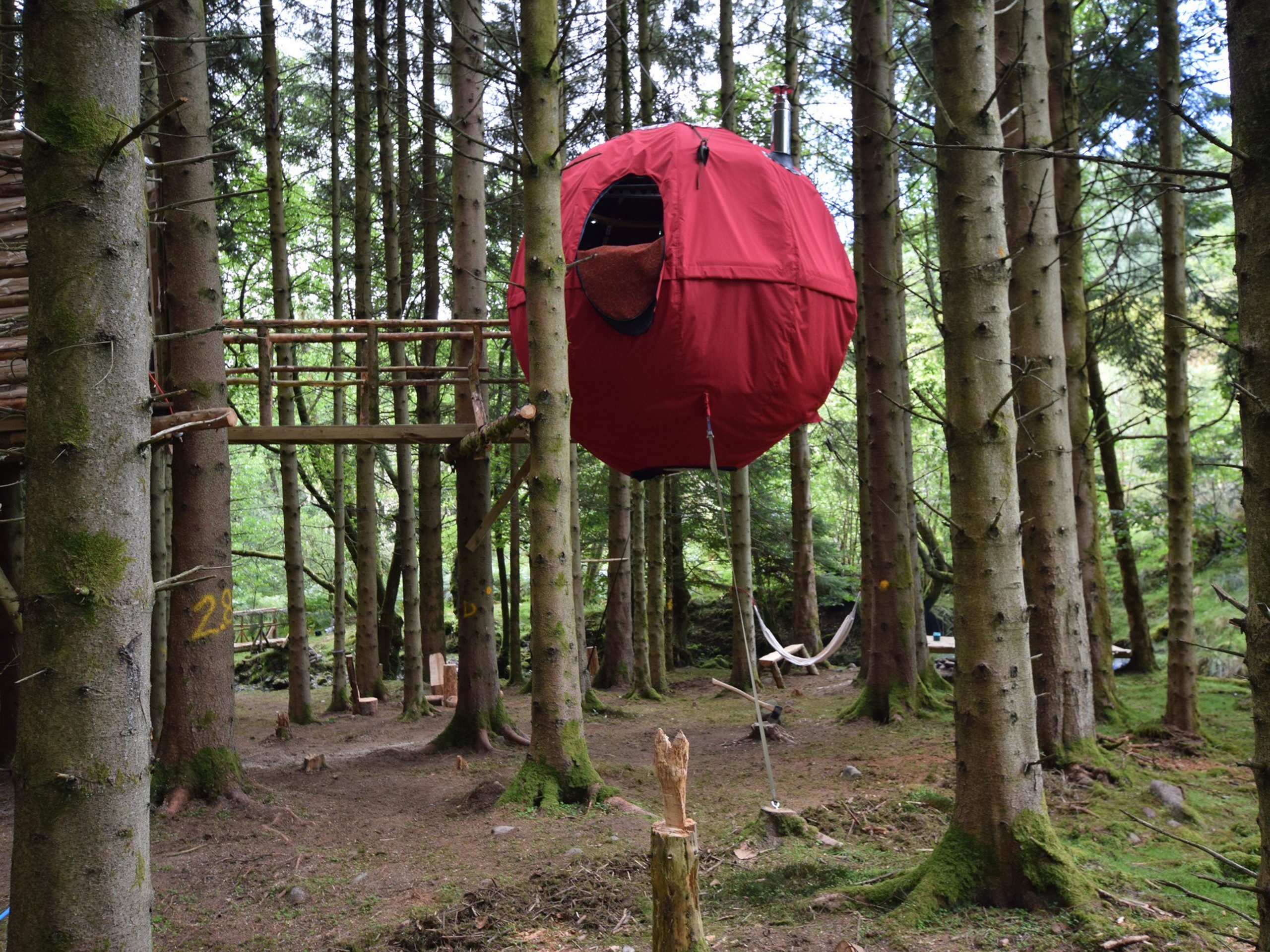 The Dragon Tree Tent