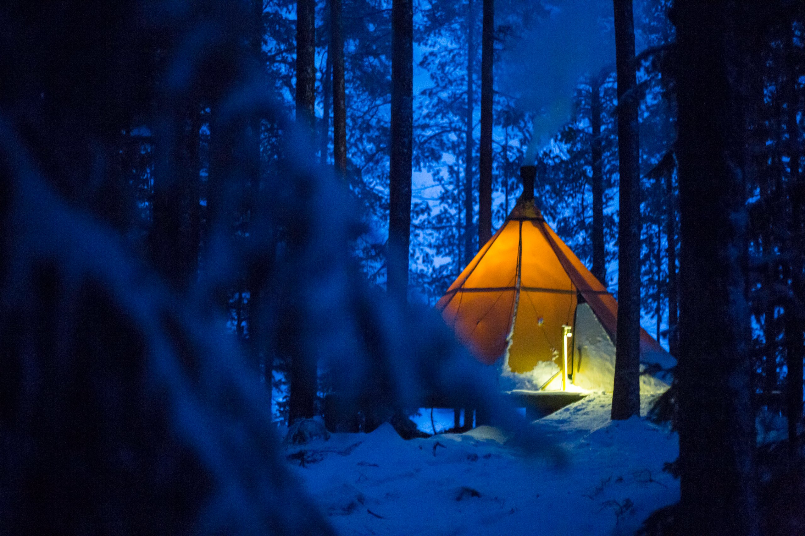 Aurora Safari Camp