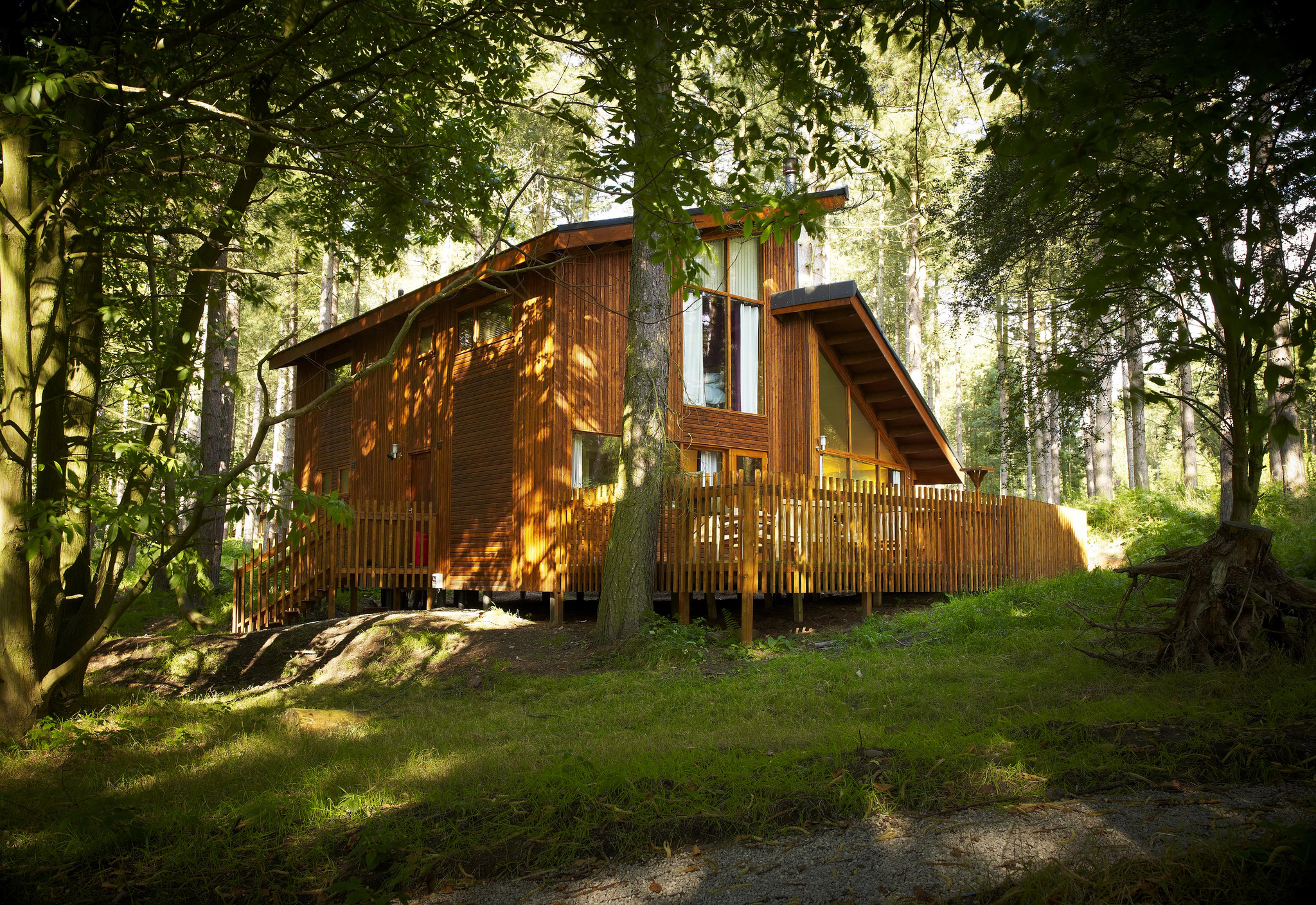 Forest Holidays - Sherwood Forest