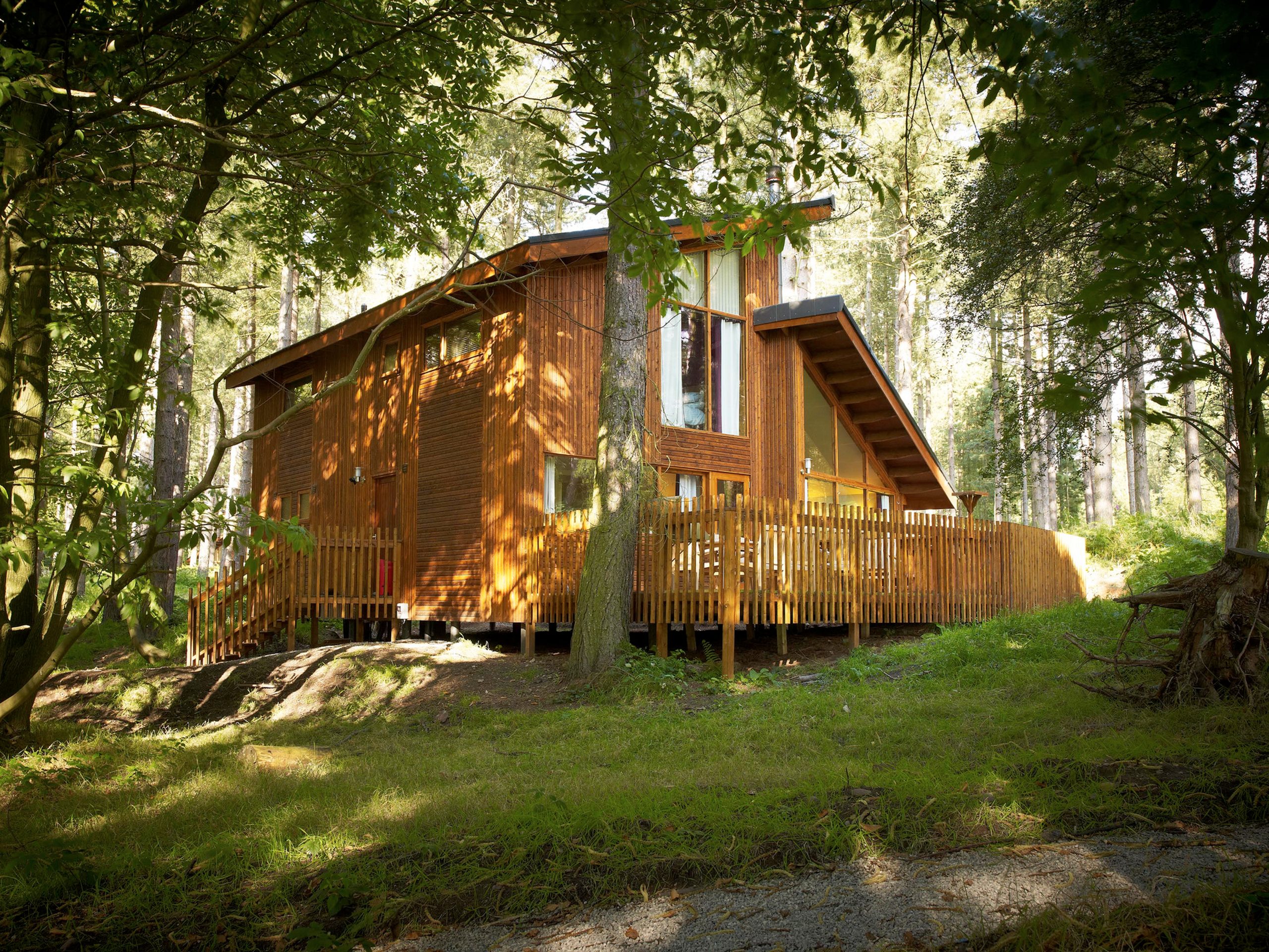 Forest Holidays - Sherwood Forest