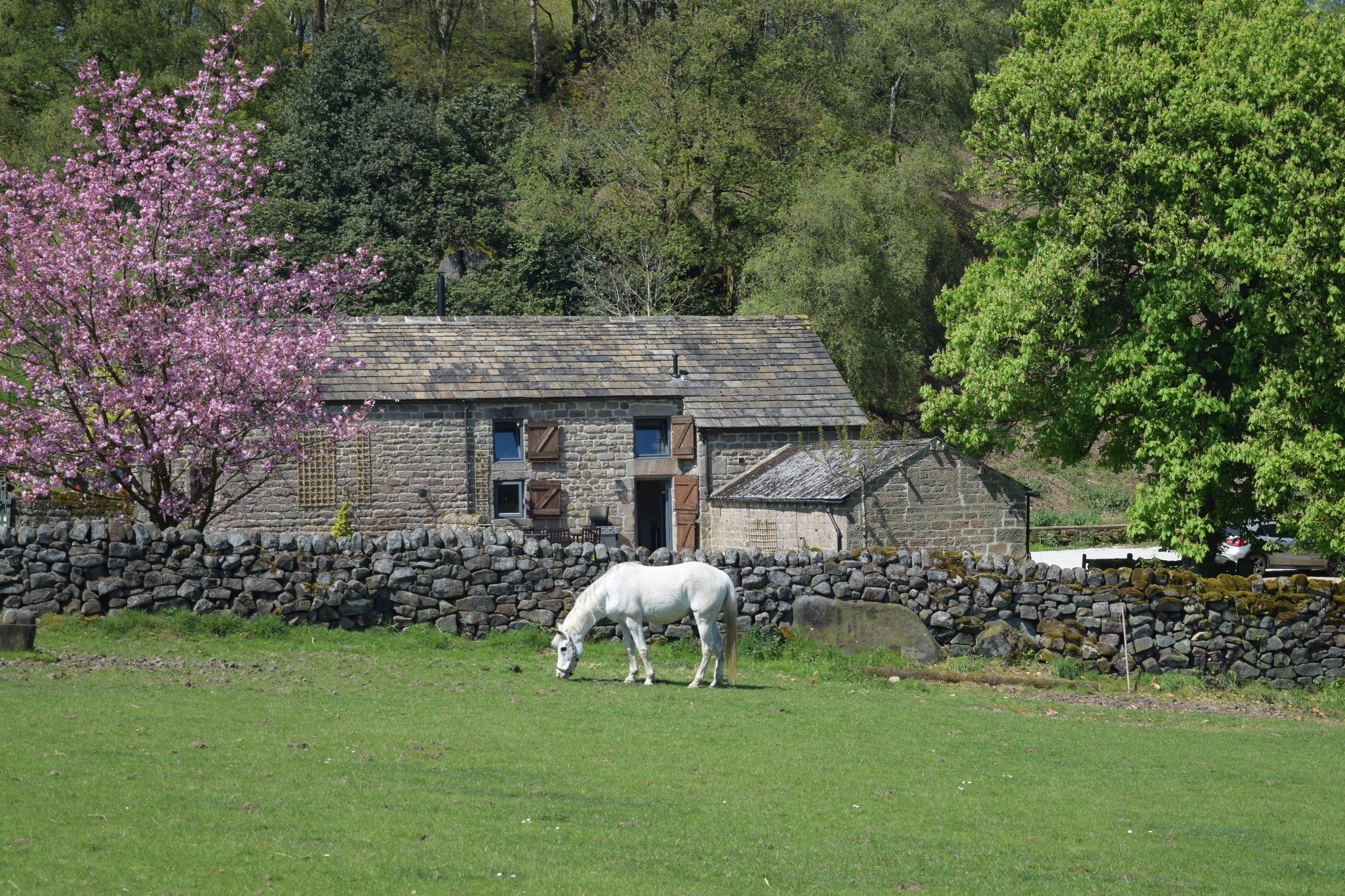 Rocking Stone Cottage