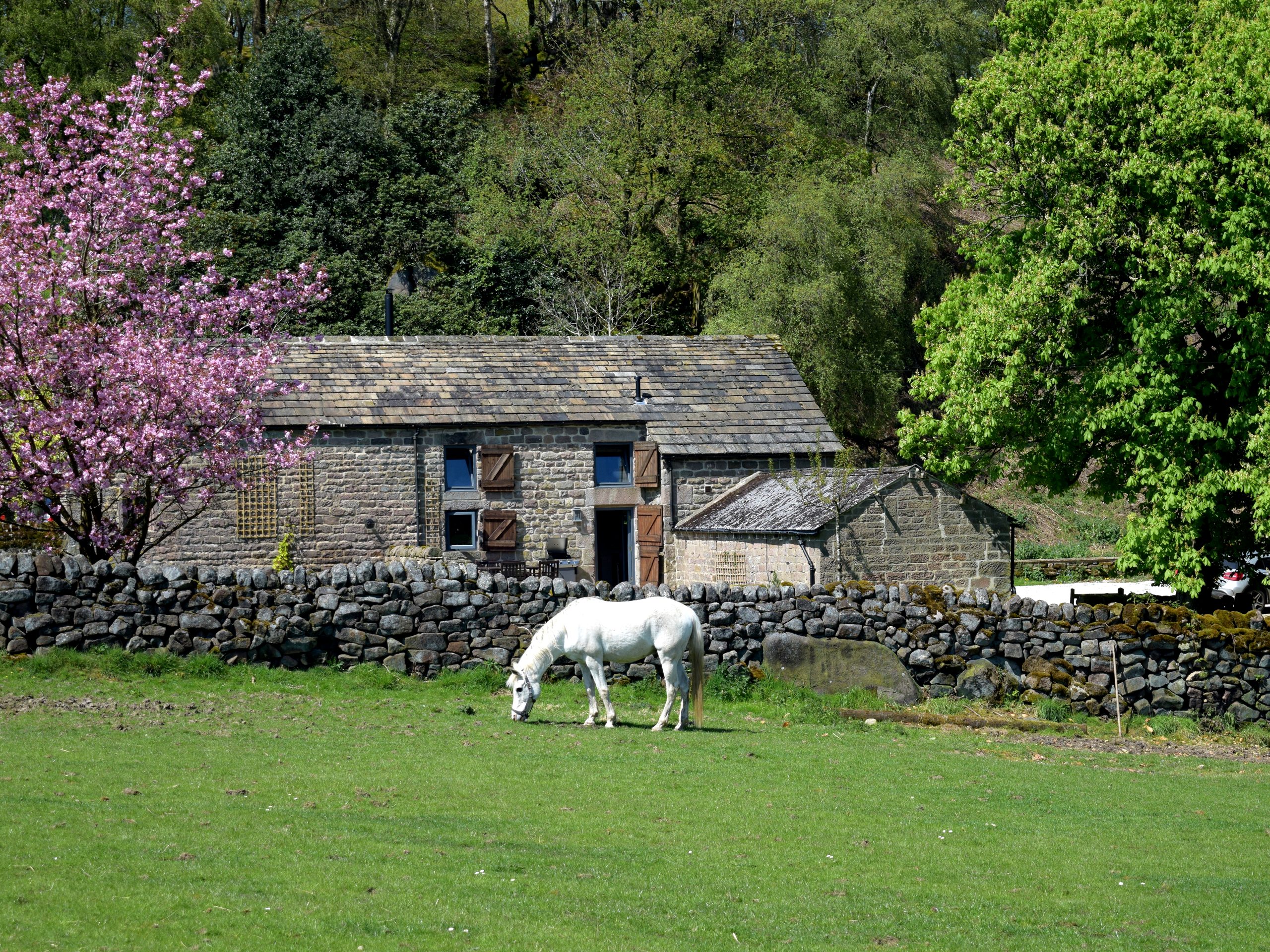 Rocking Stone Cottage