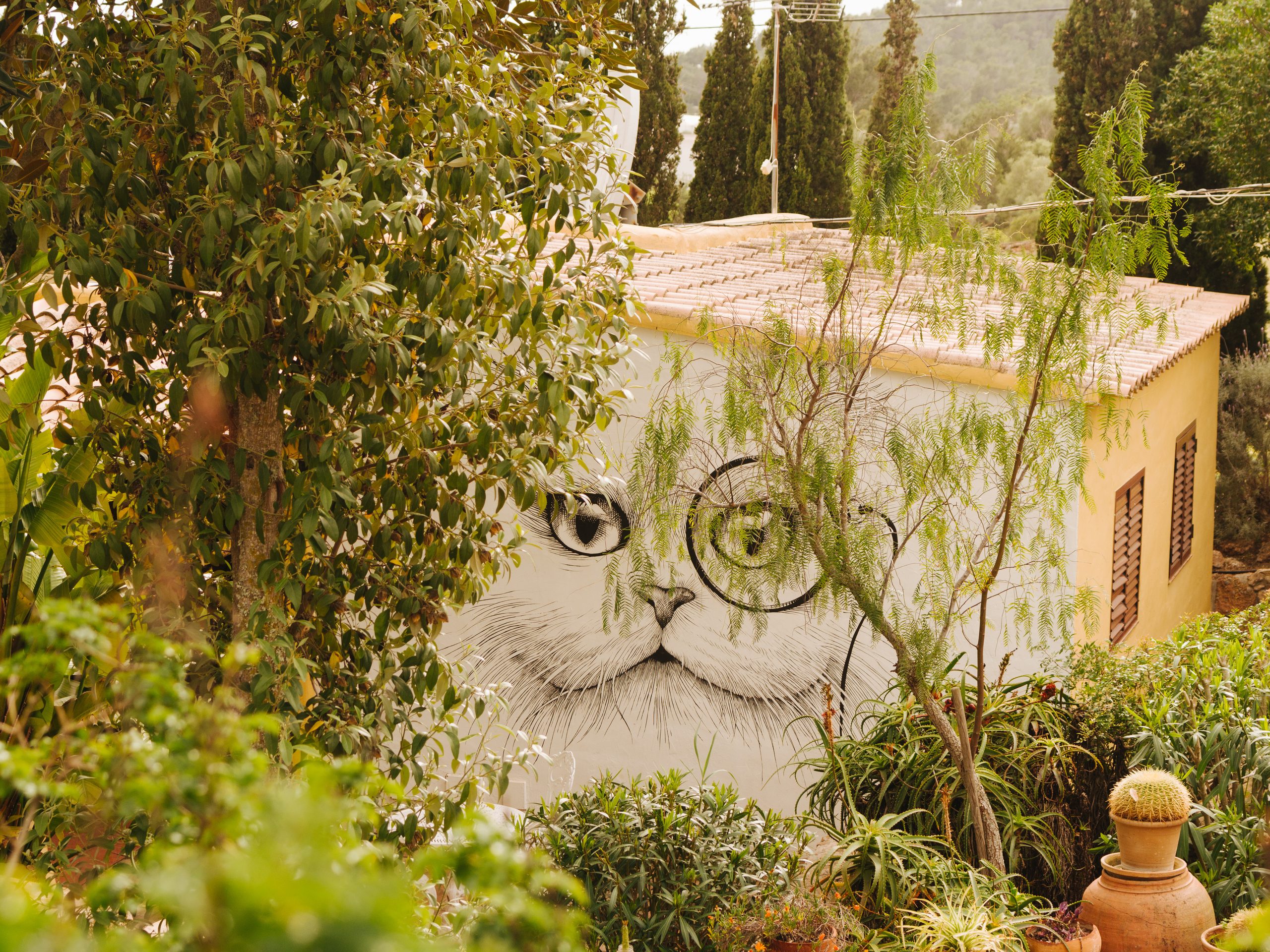 Pikes Ibiza