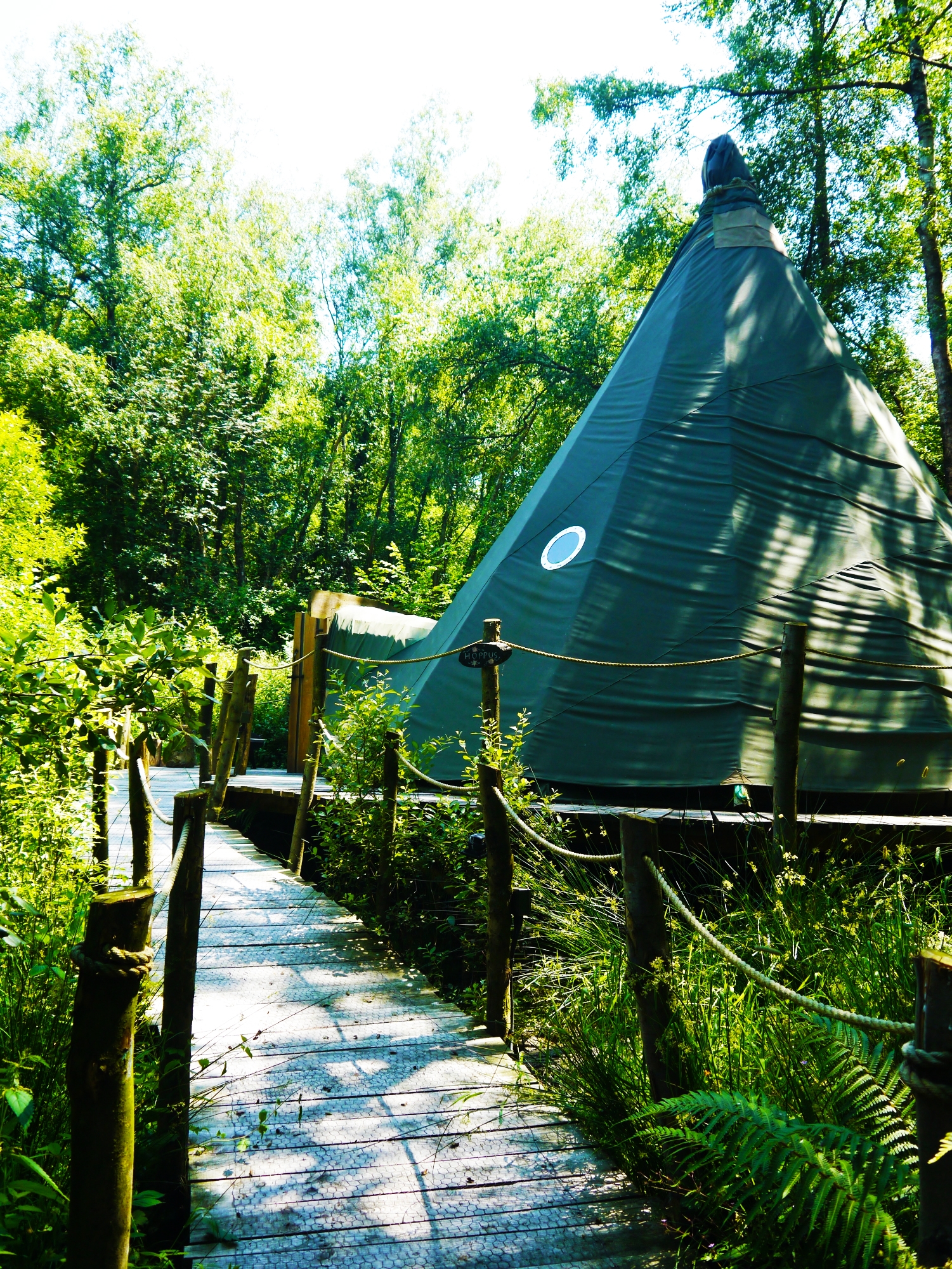 Crafty Camping - Hoppus the Tipi