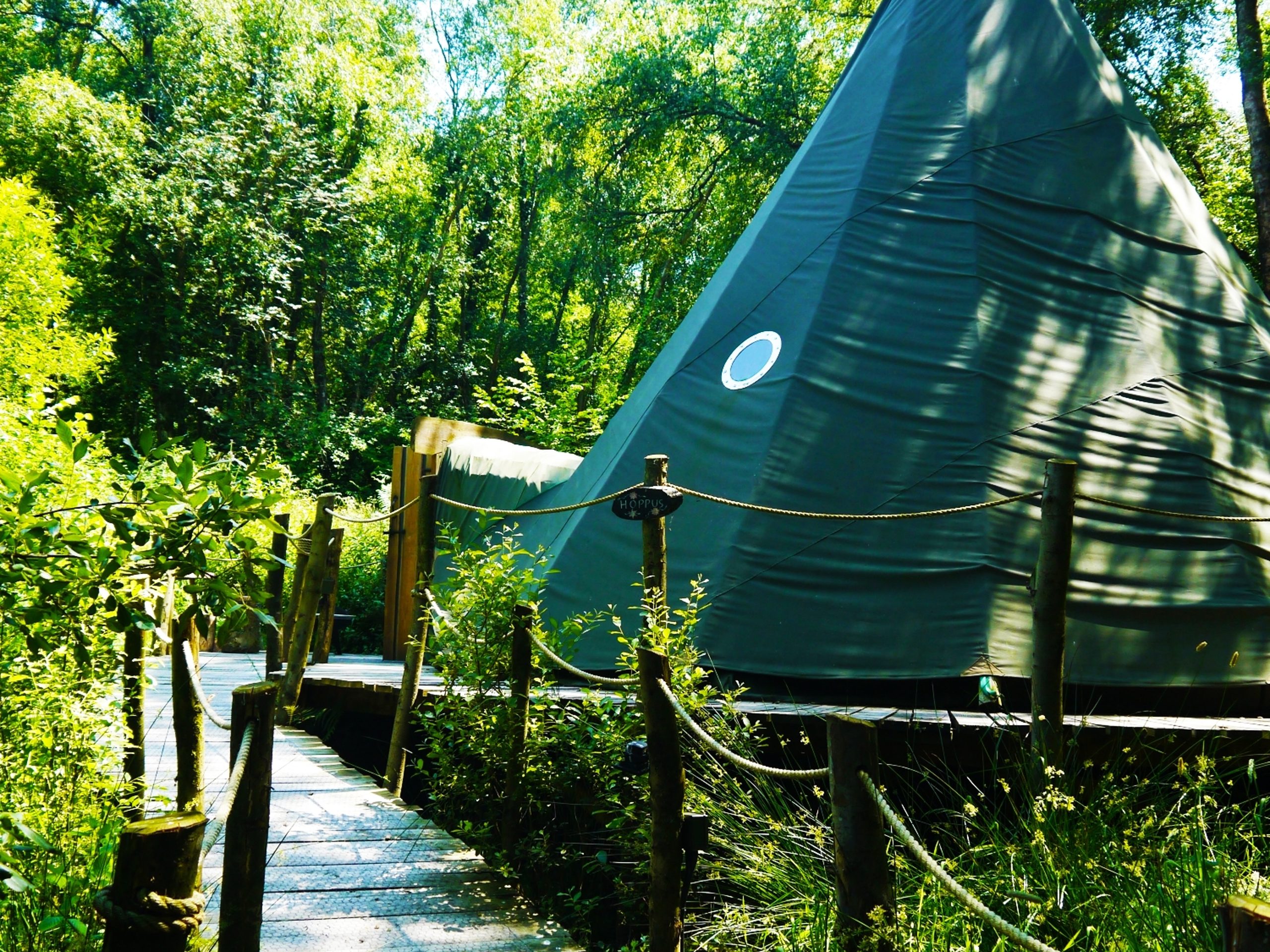 Crafty Camping - Hoppus the Tipi