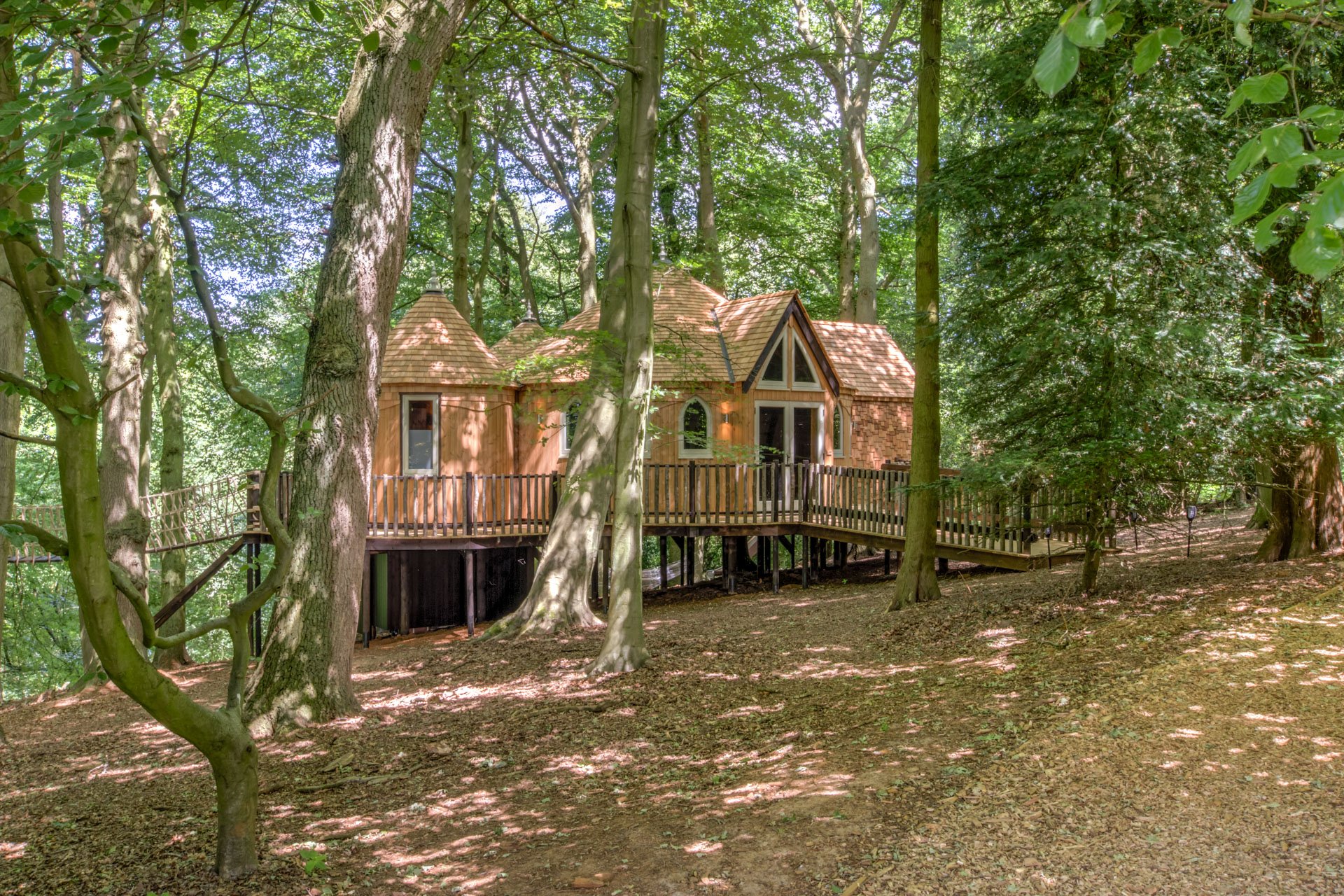 Cedar Hollow Treehouse - Image 1