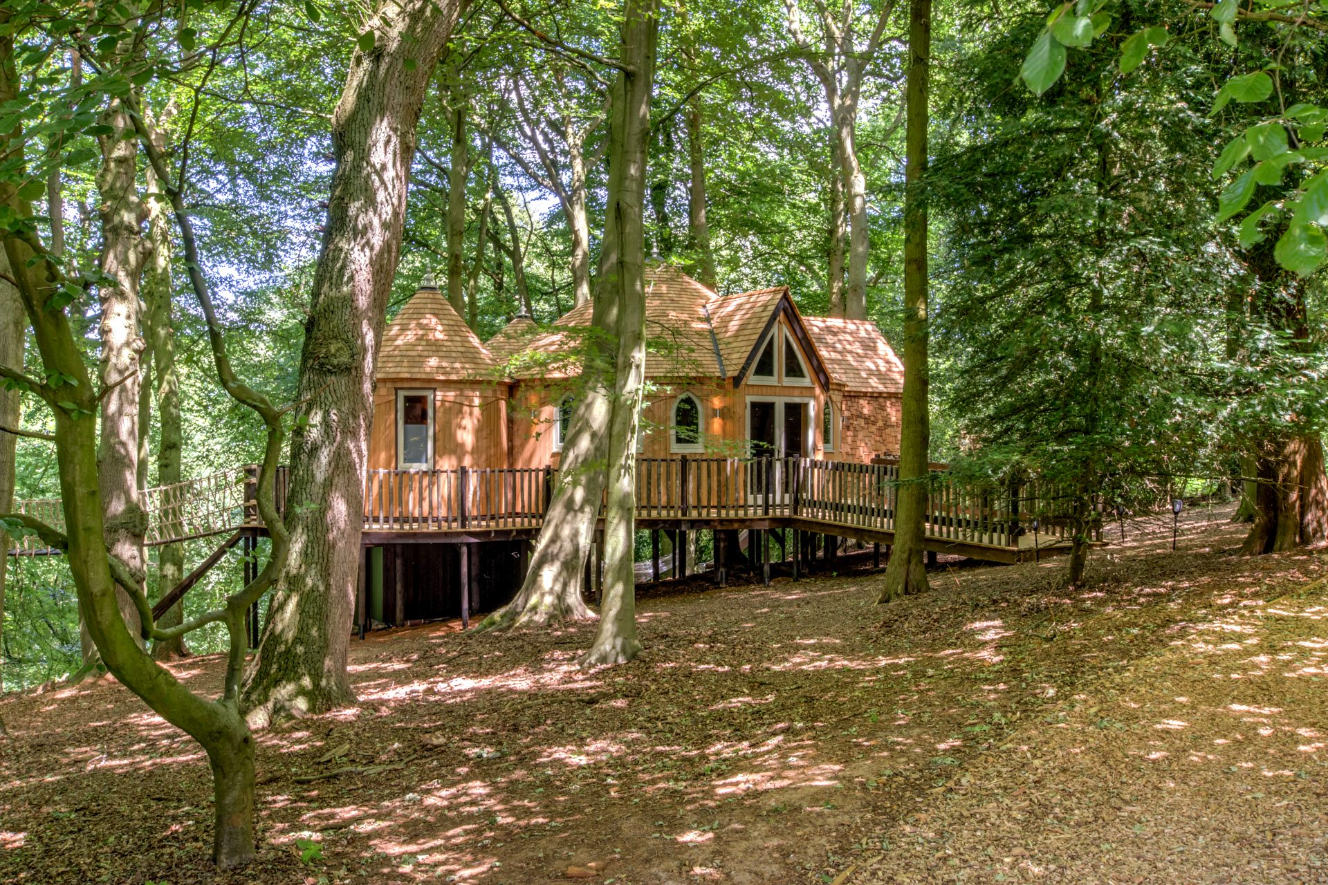 Cedar Hollow Treehouse - Image 1