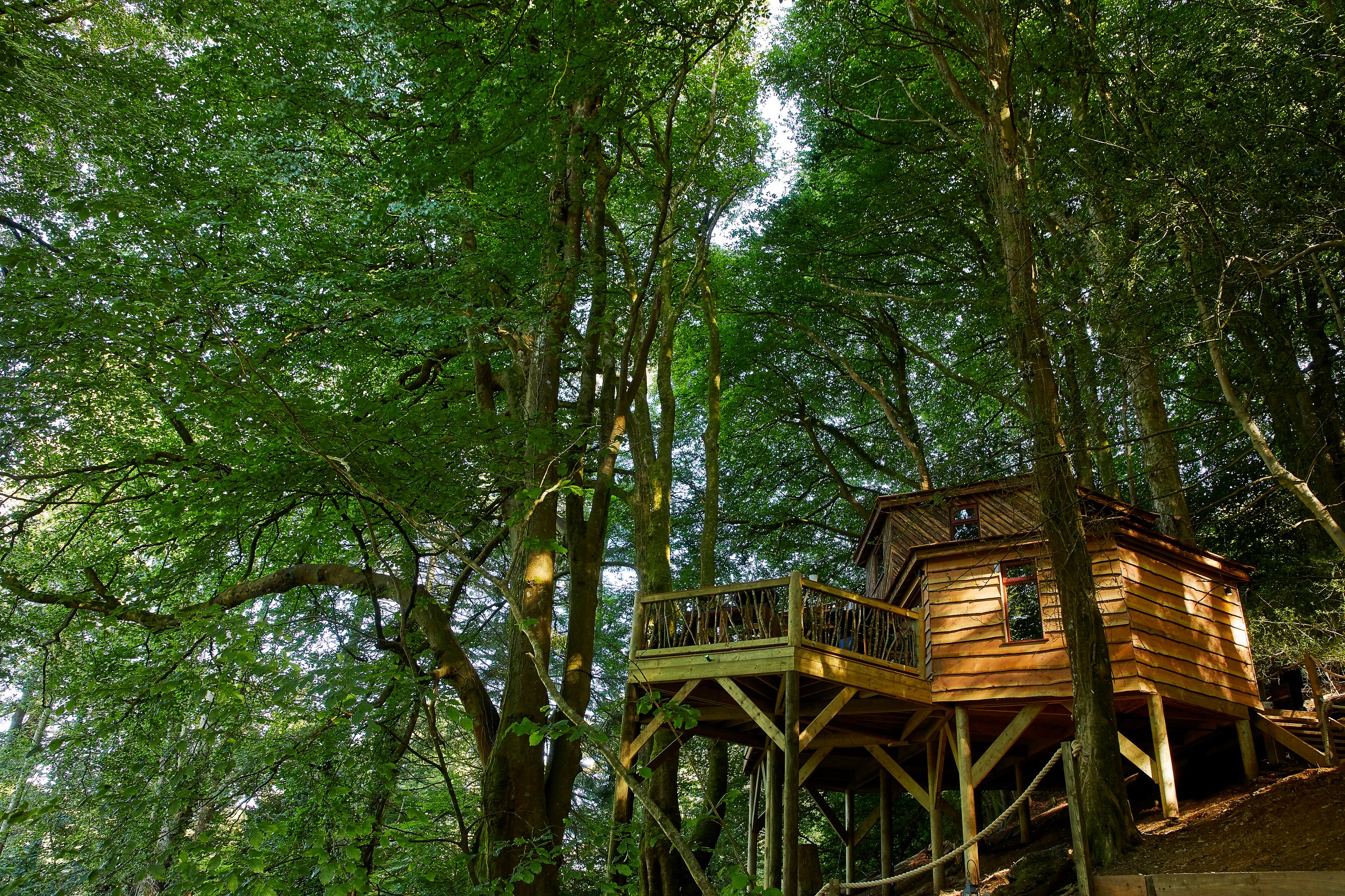 Ravendere Retreats Treehouse