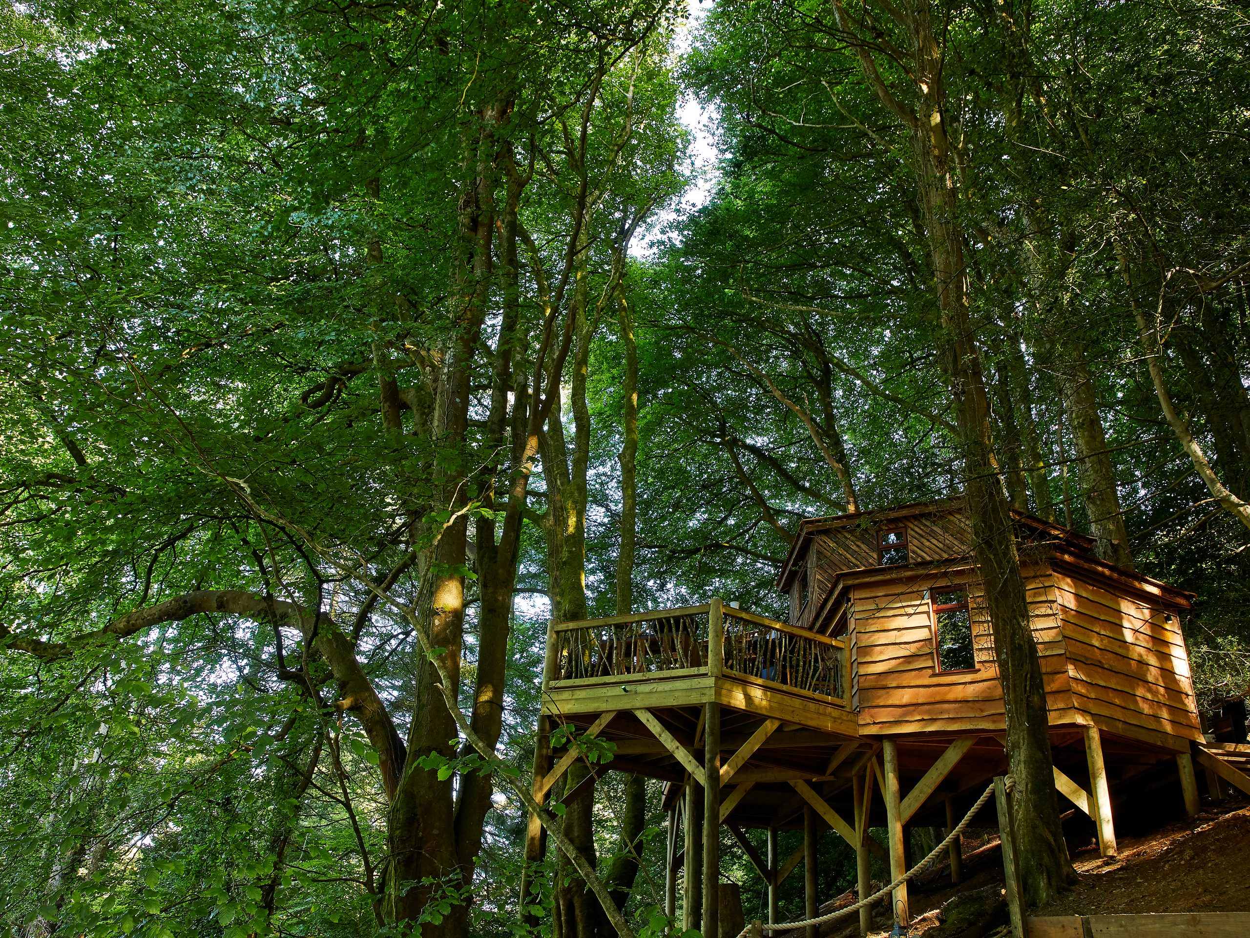Ravendere Retreats Treehouse