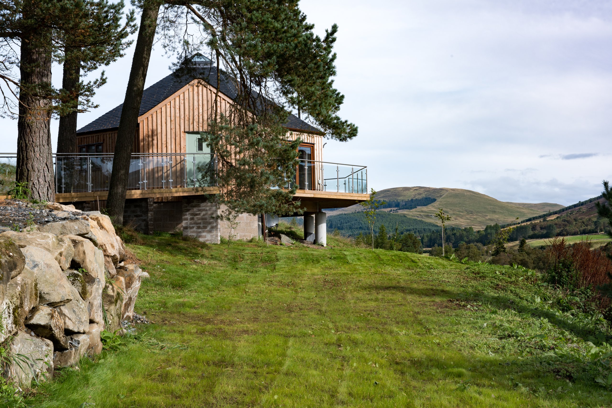 Scots Pine Treehouse