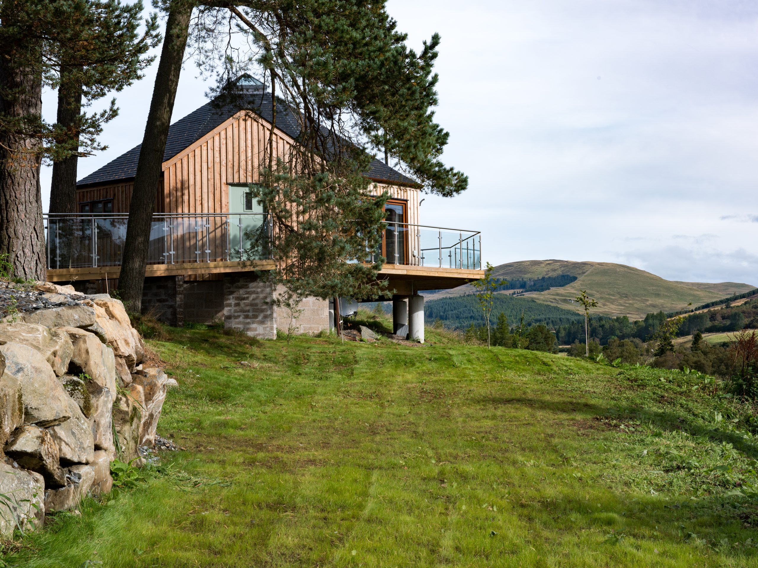 Scots Pine Treehouse