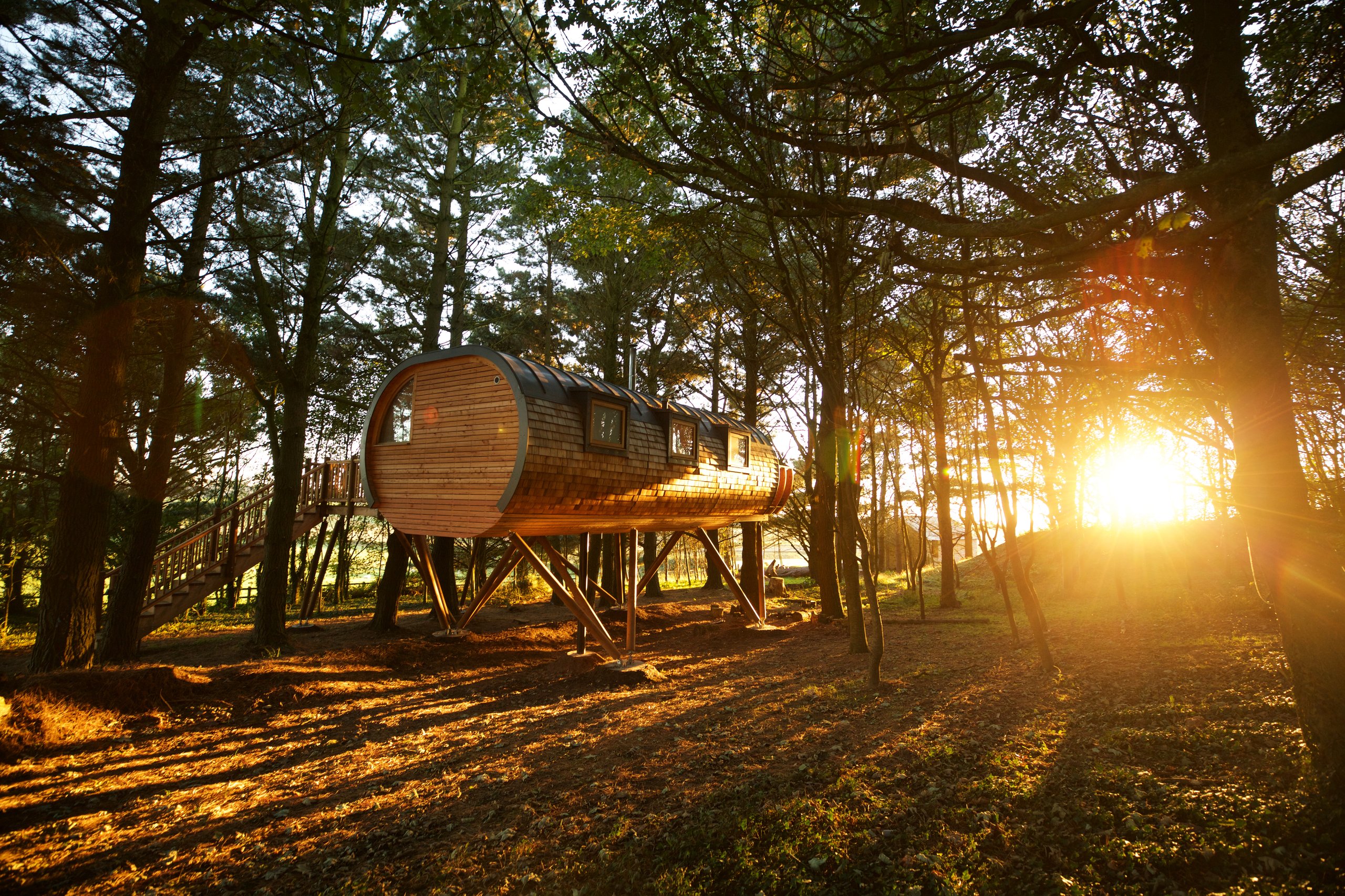 The Treehouses at Pickwell Manor