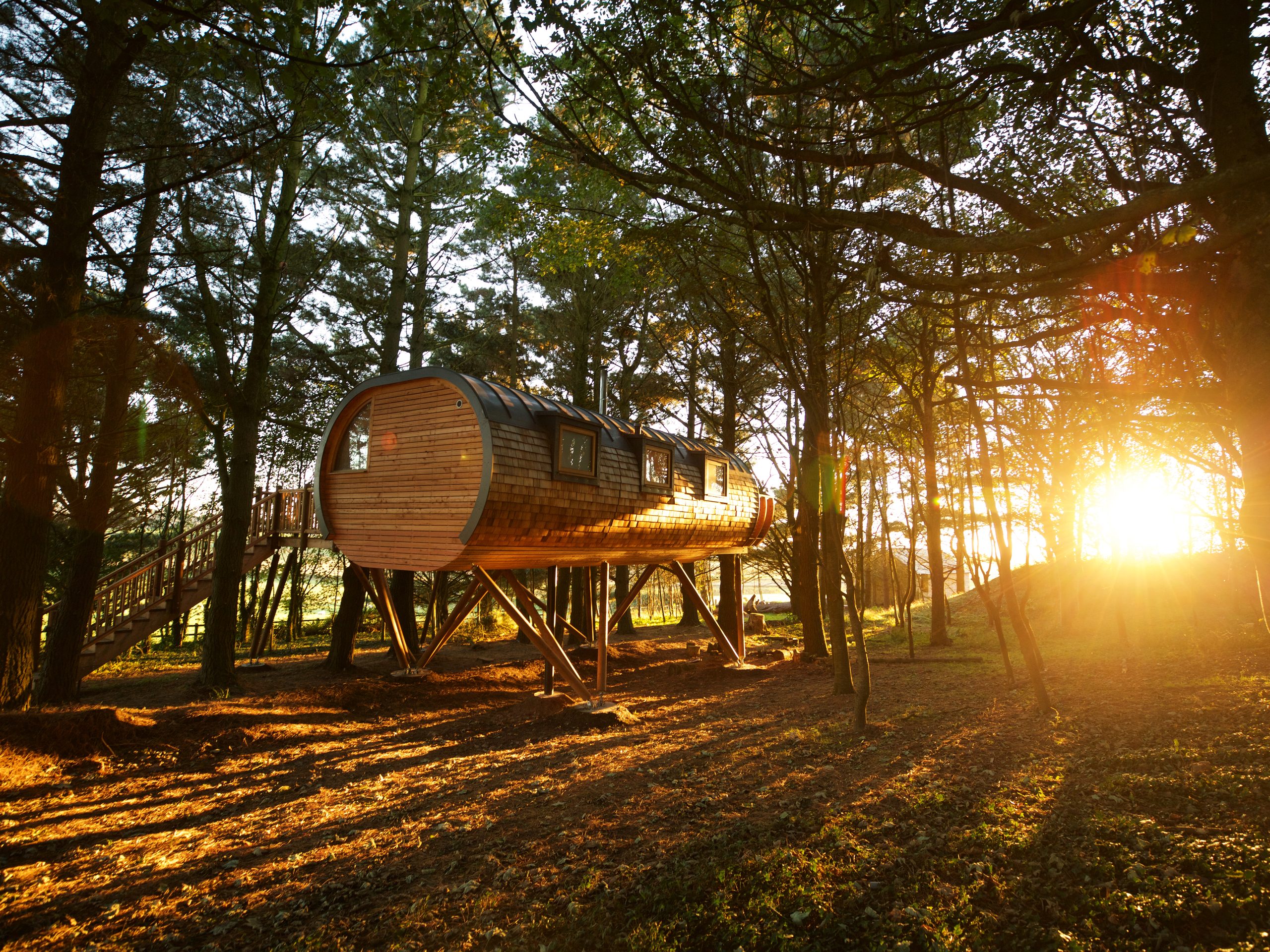 The Treehouses at Pickwell Manor