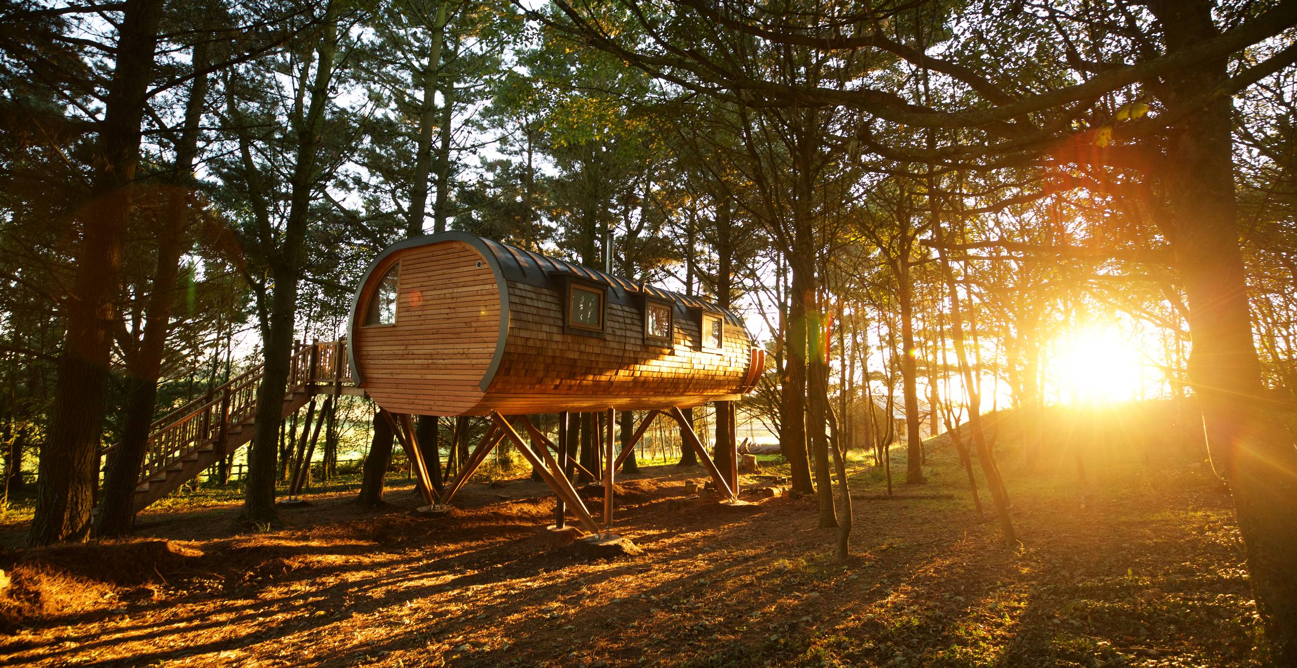 The Treehouses at Pickwell Manor