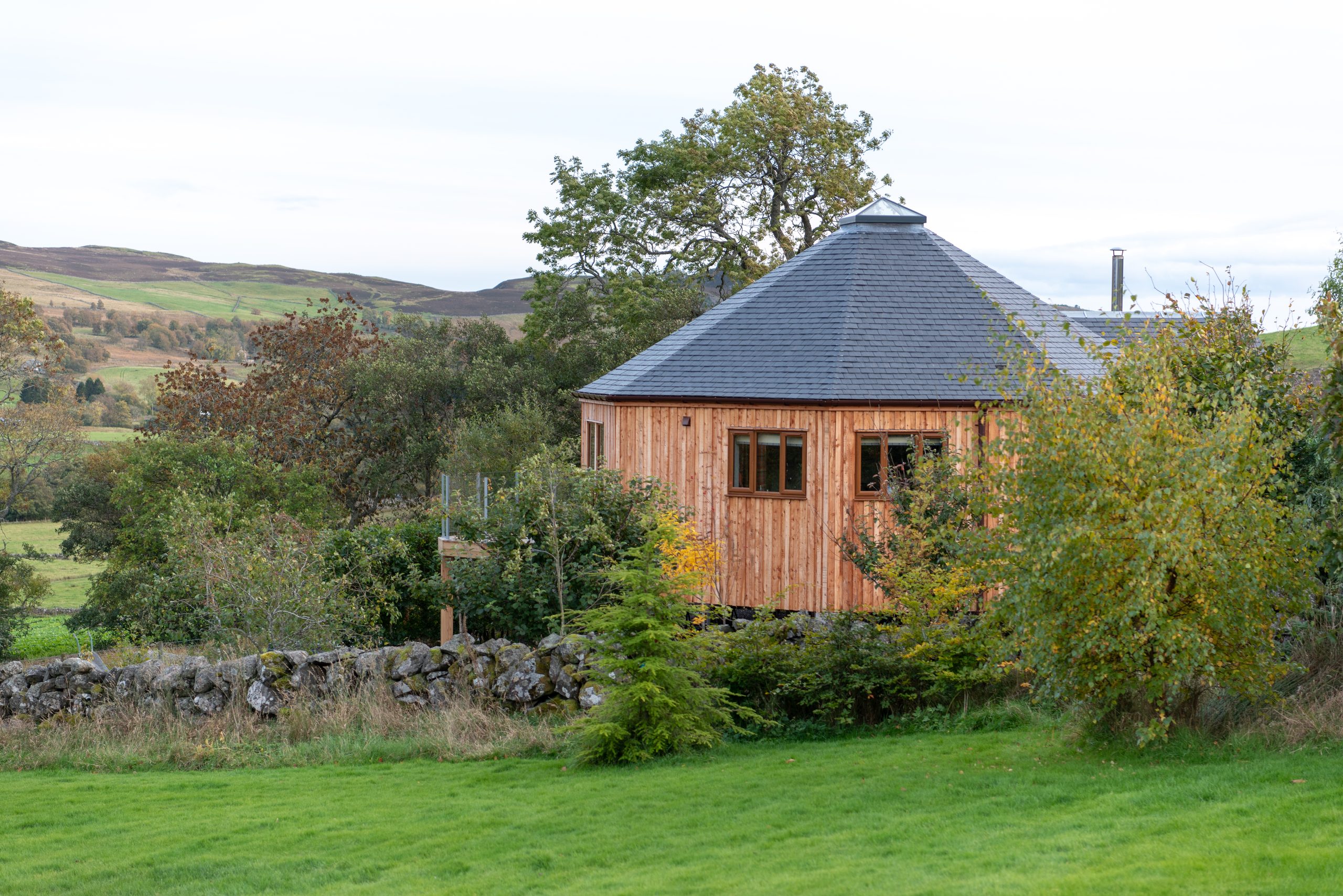 Silver Birch Treehouse - Image 1