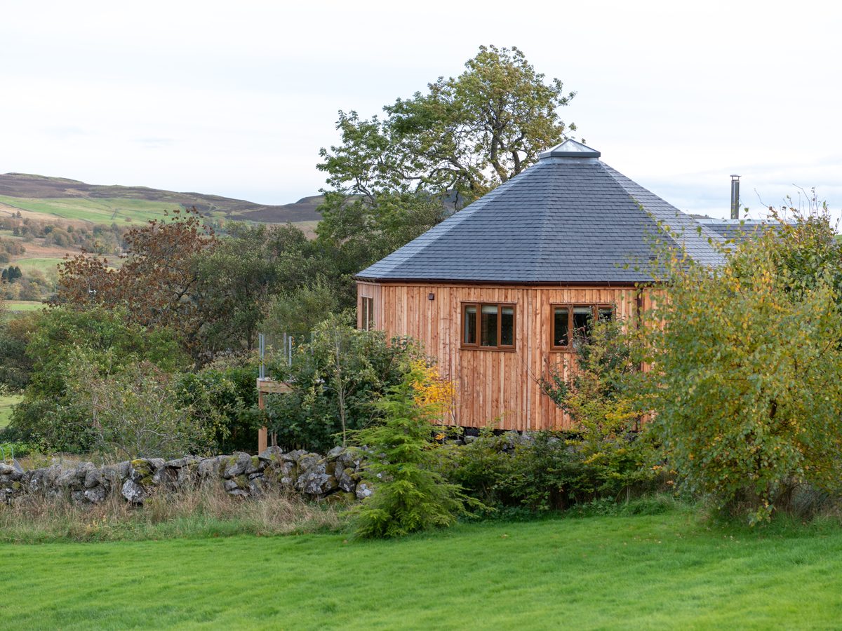 Silver Birch Treehouse
