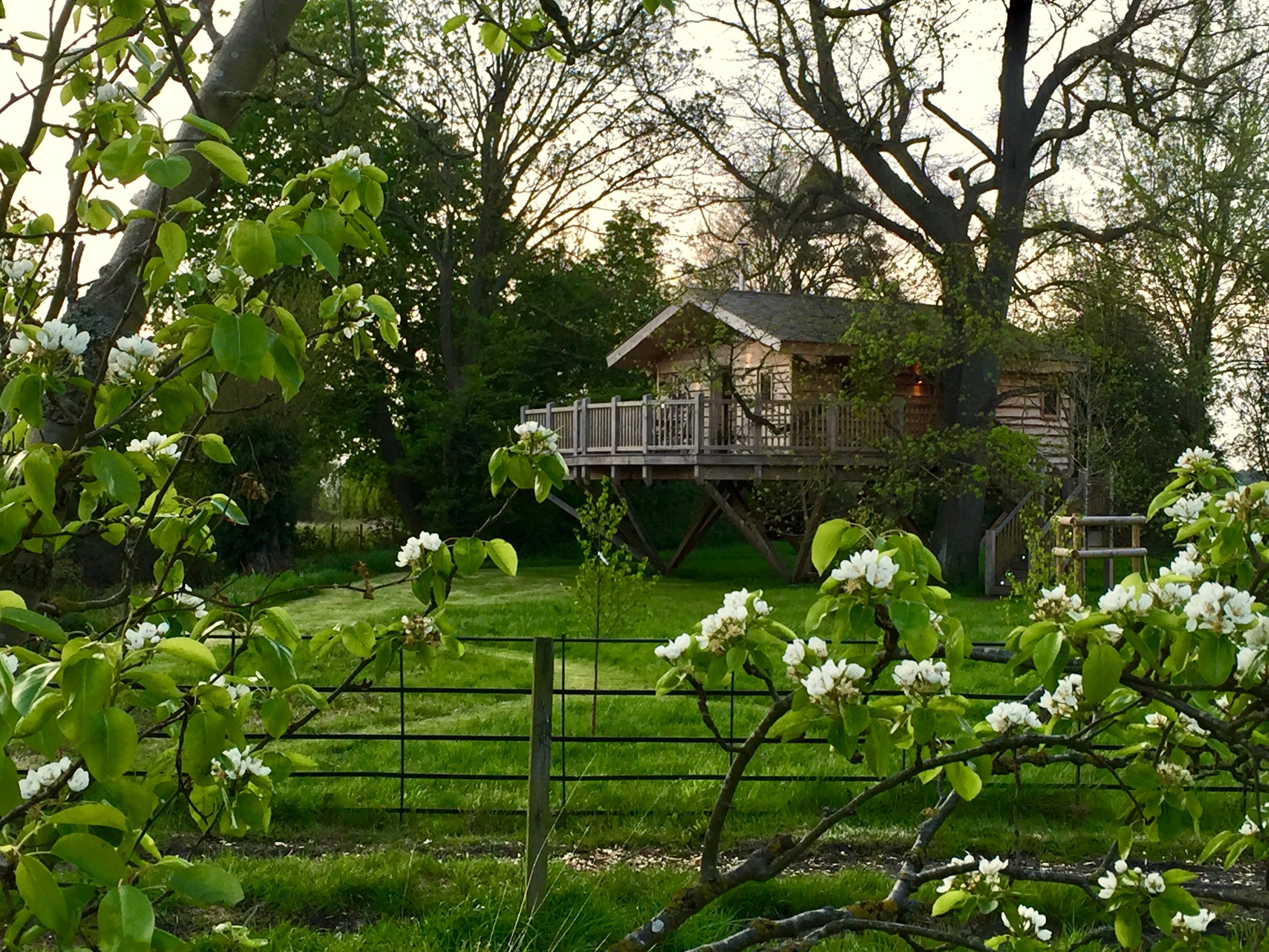 Bredon Hill Treehouses