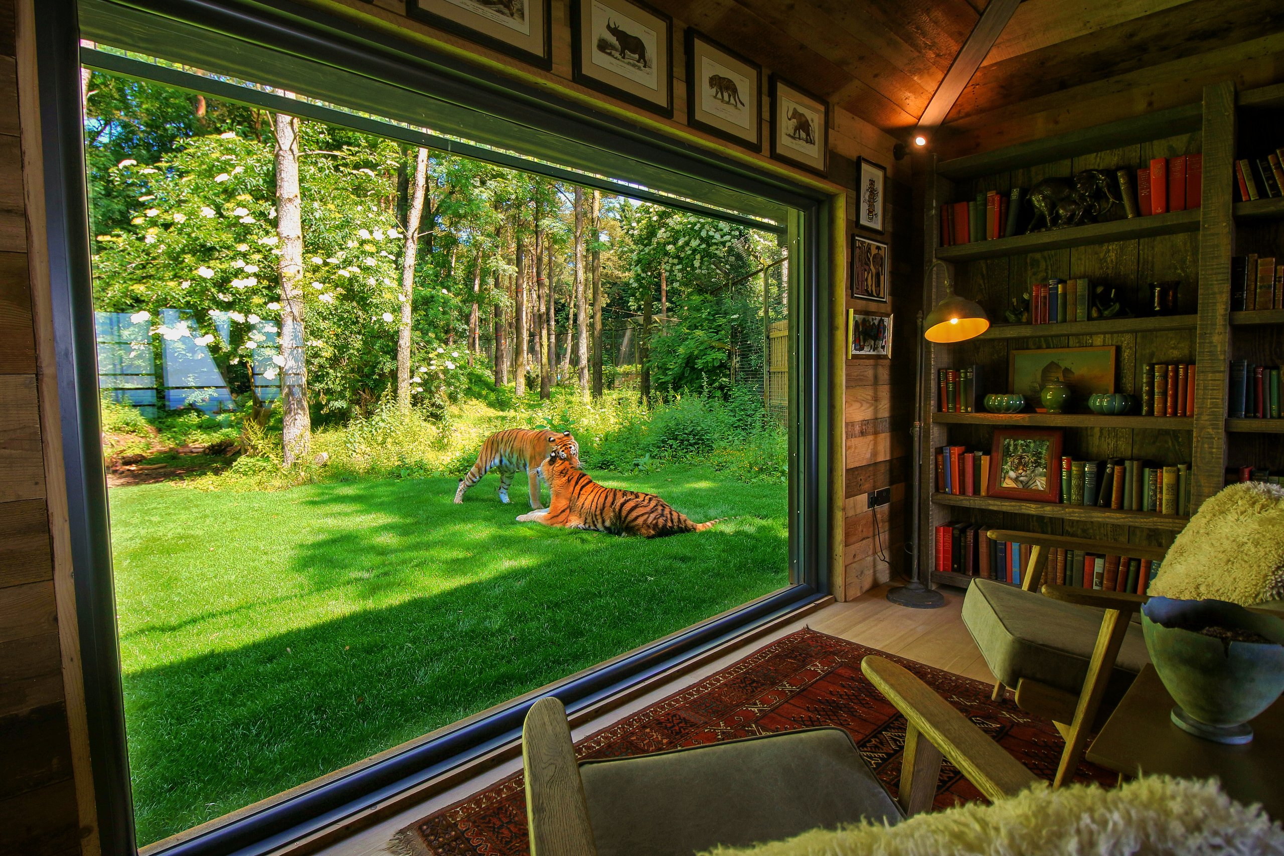 Tiger Lodge