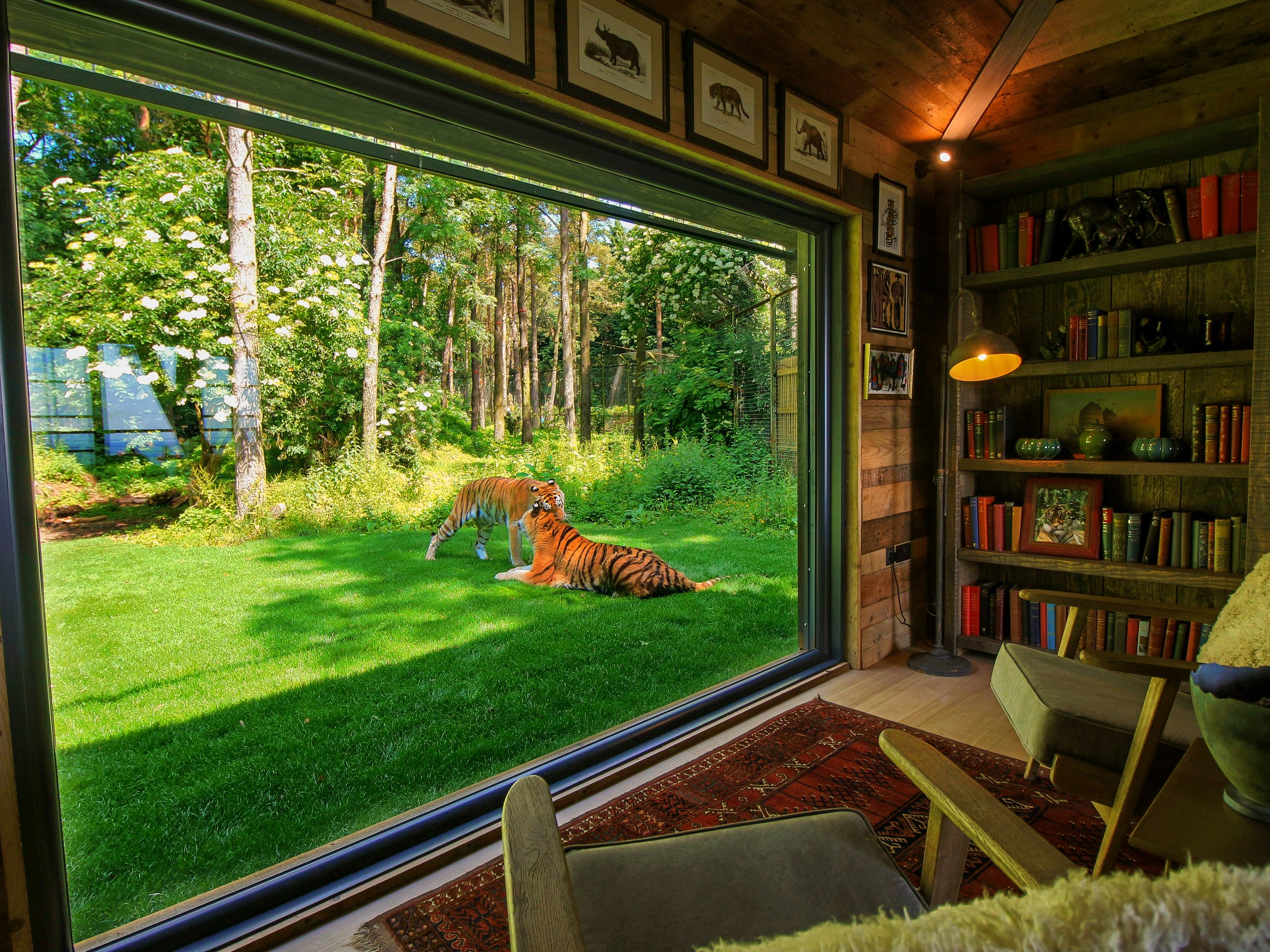 Tiger Lodge