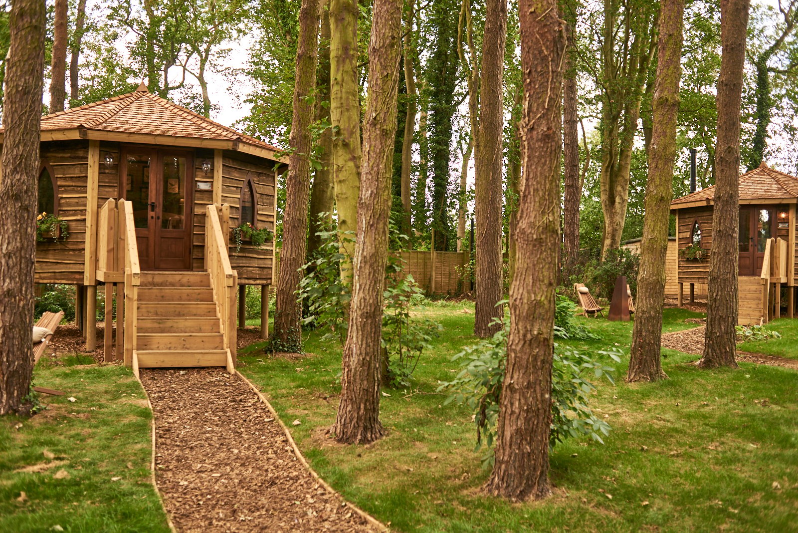 Forest Hideaways