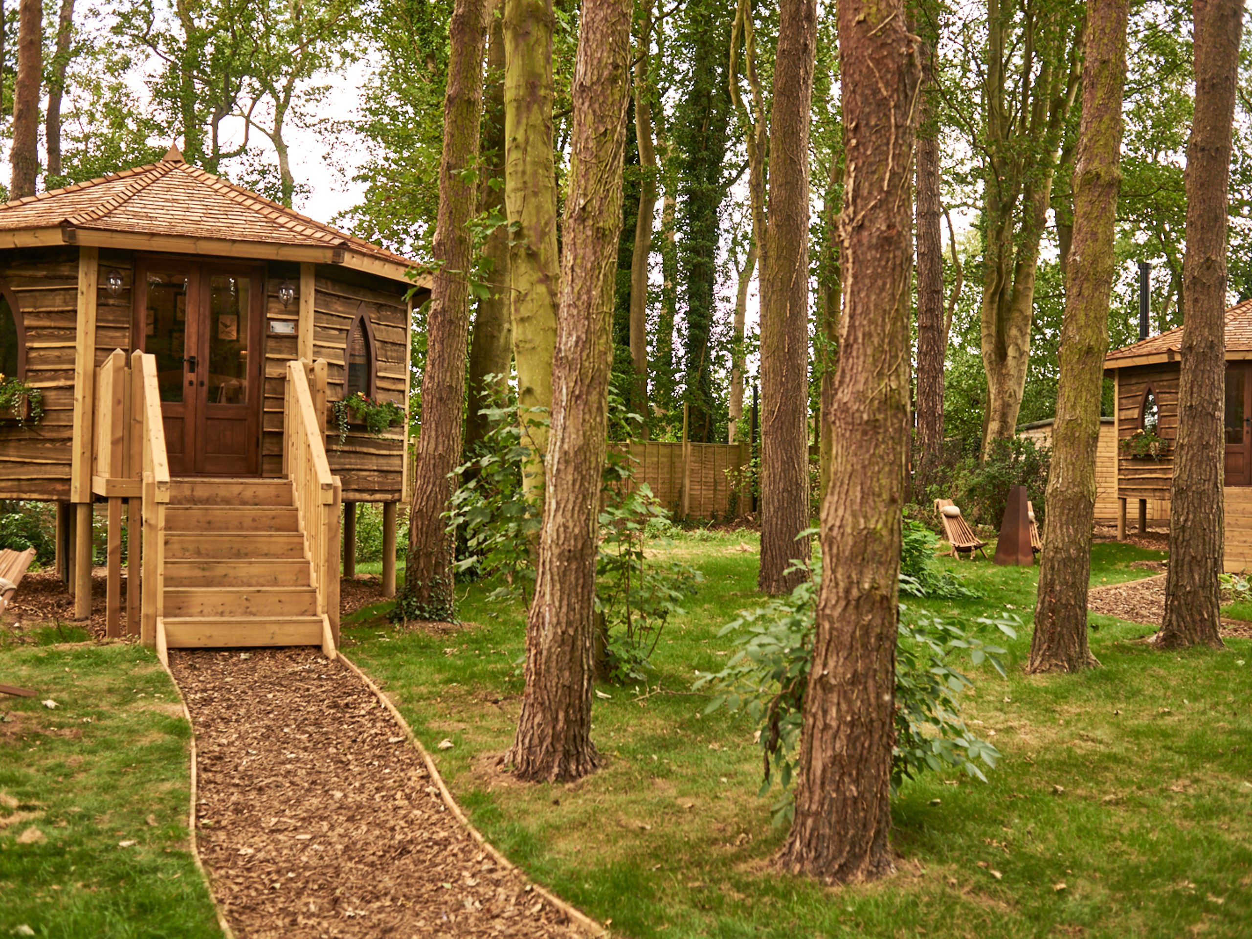 Forest Hideaways