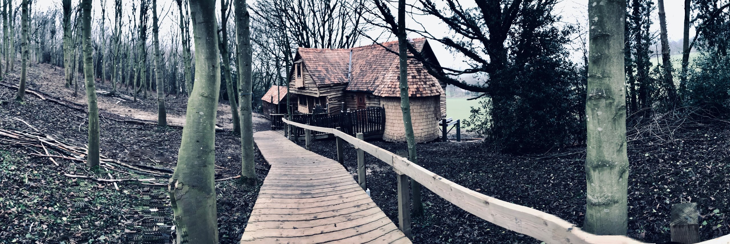 Rufus' Roost