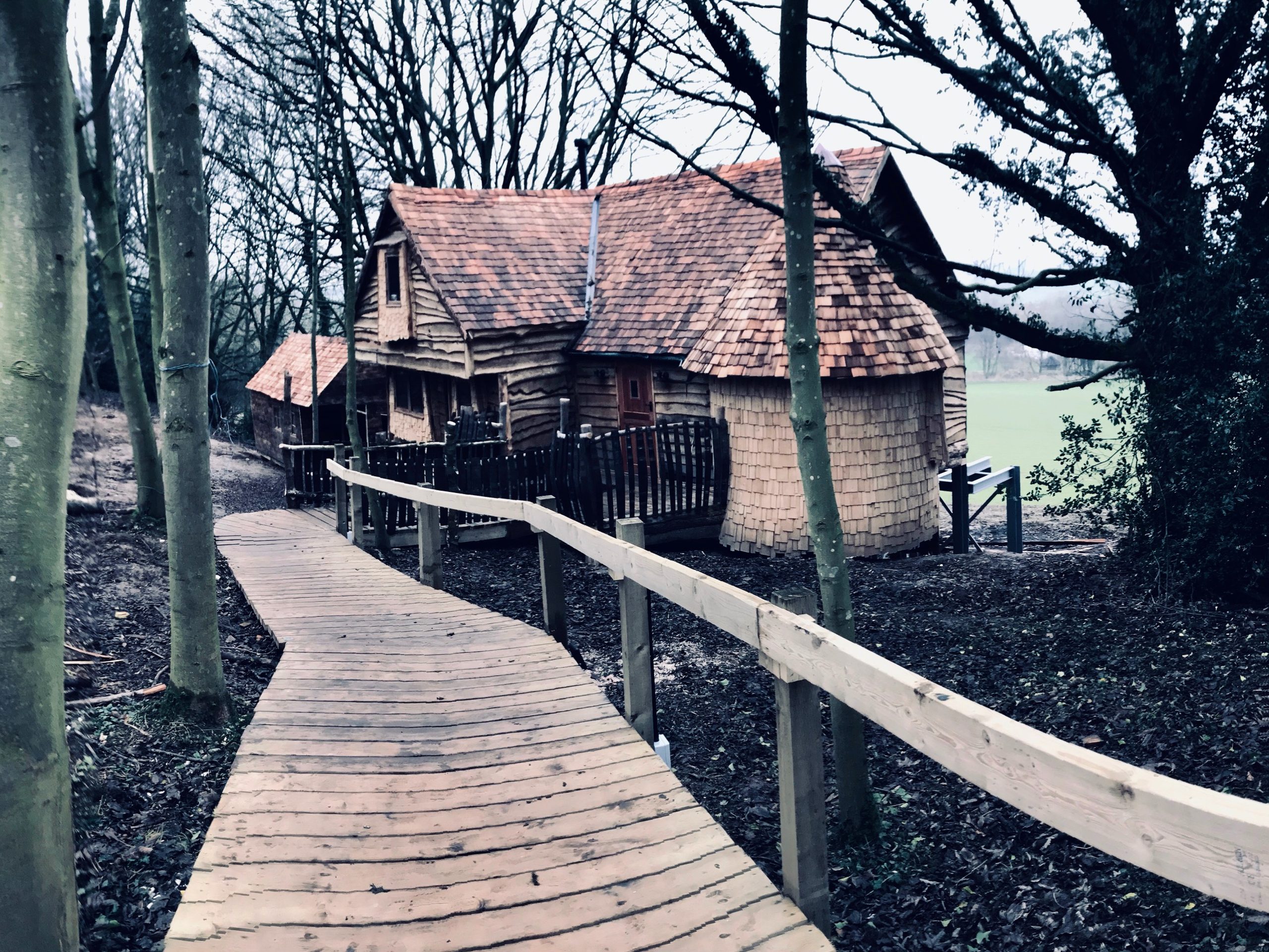 Rufus' Roost