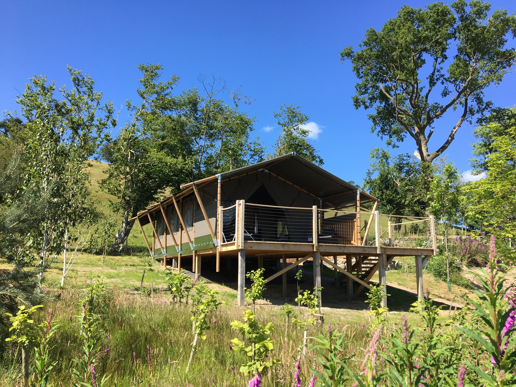 Oaklands Glamping - Luxury Safari Tents