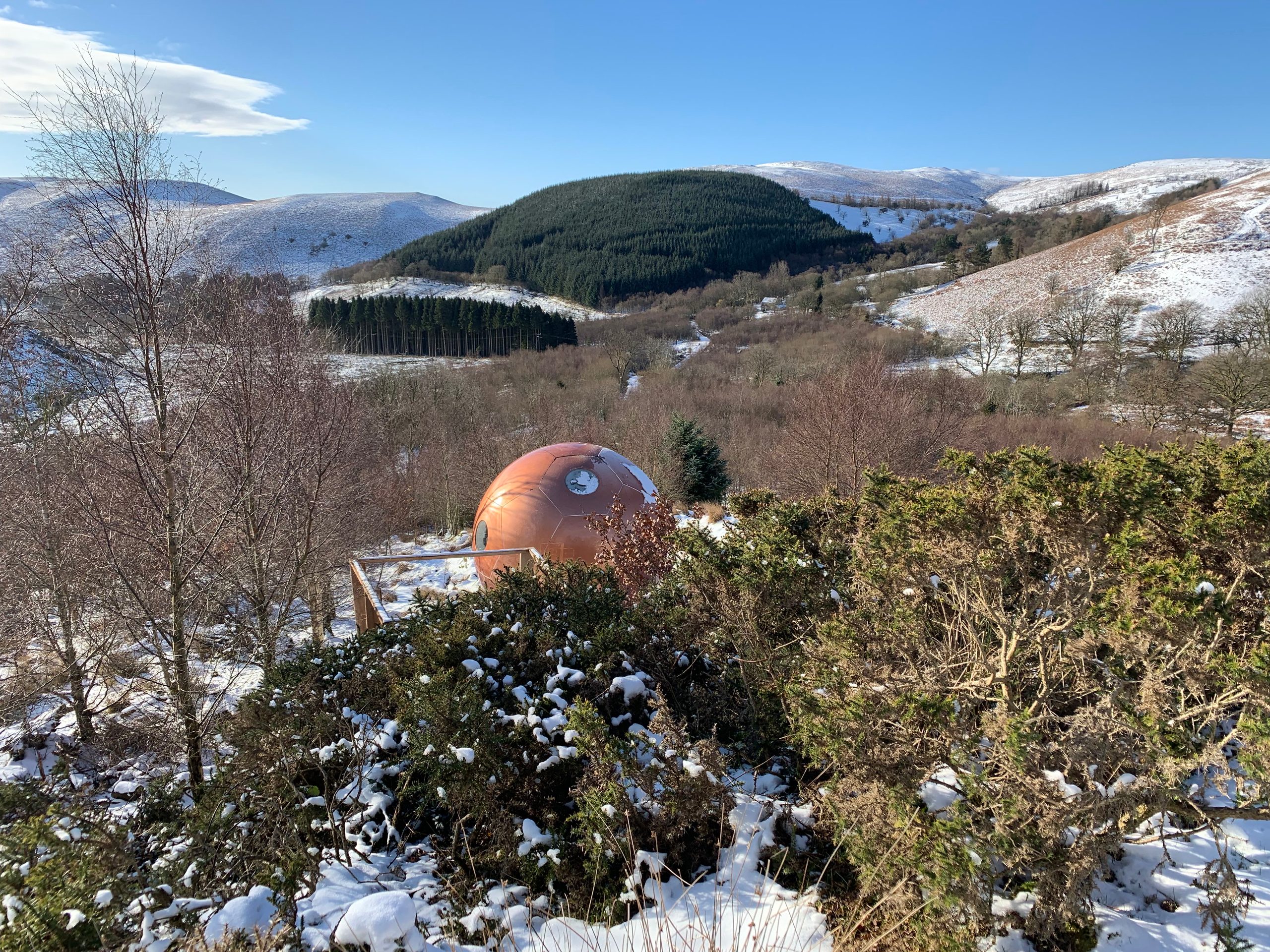 Red Kite Conkers